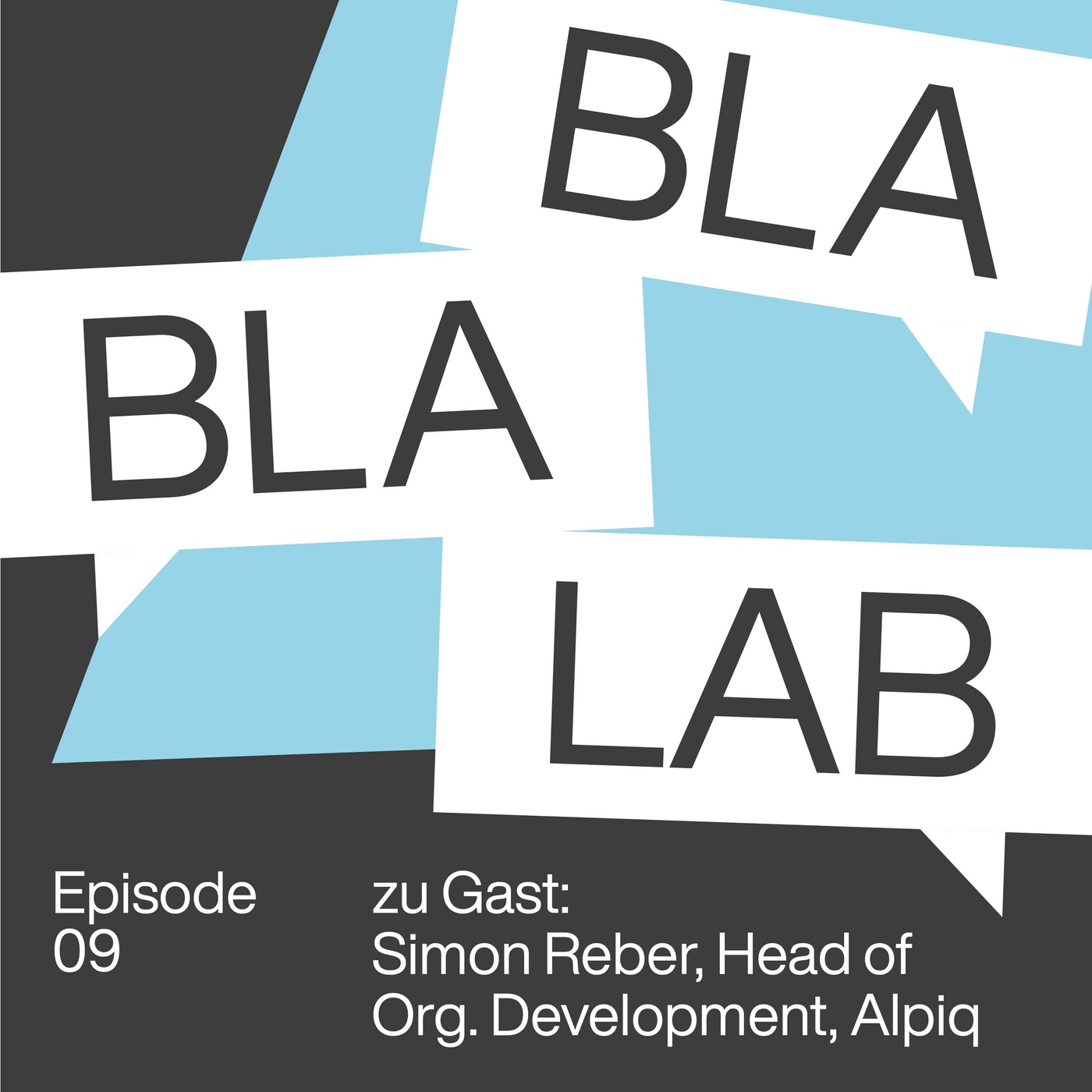 Simon Reber: Wie führt man eine Organisation mit einer Story?