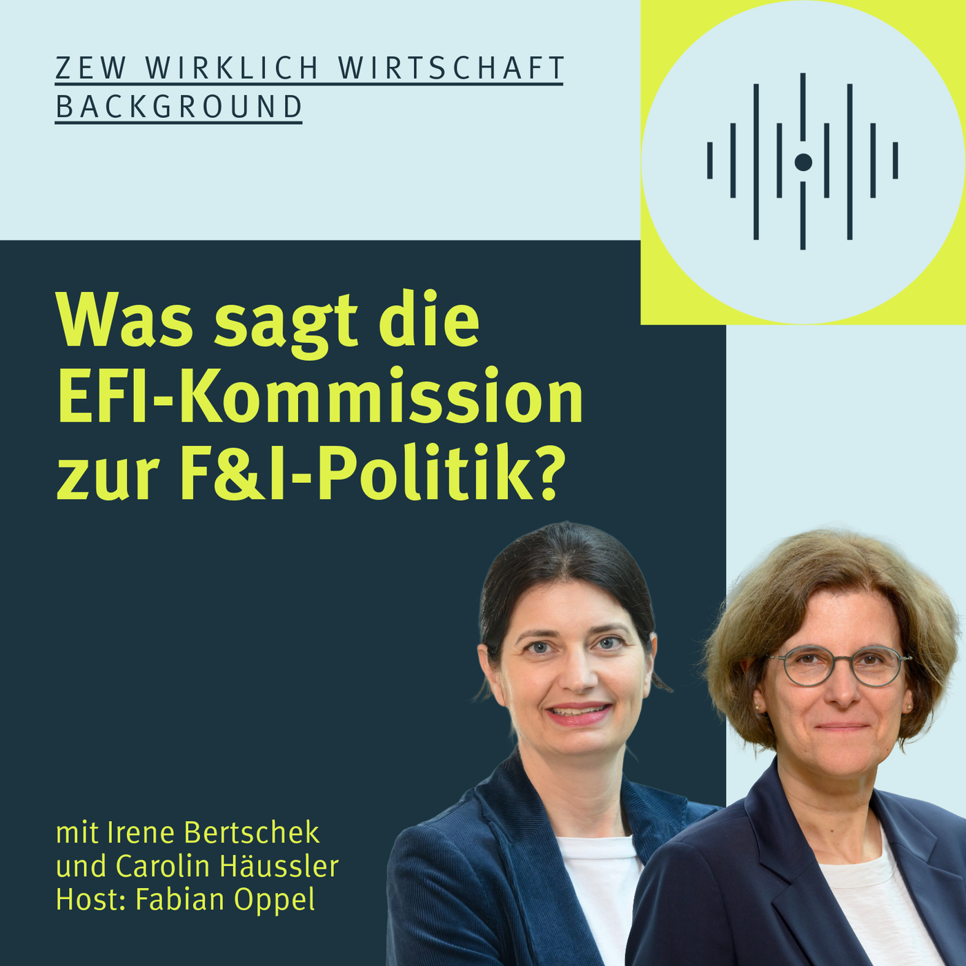 Was sagt die EFI-Kommission zur F&I-Politik?