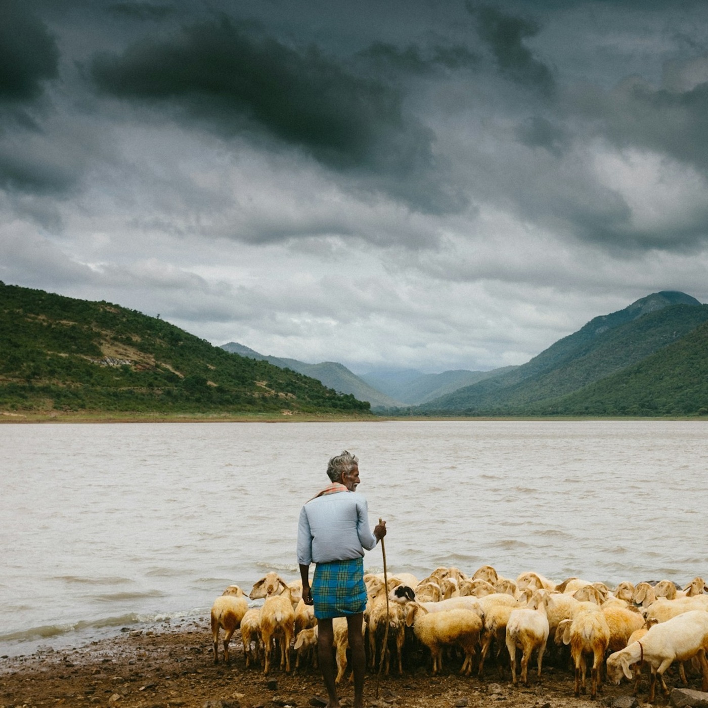 Der Herr ist mein getreuer Hirt (EG 274)