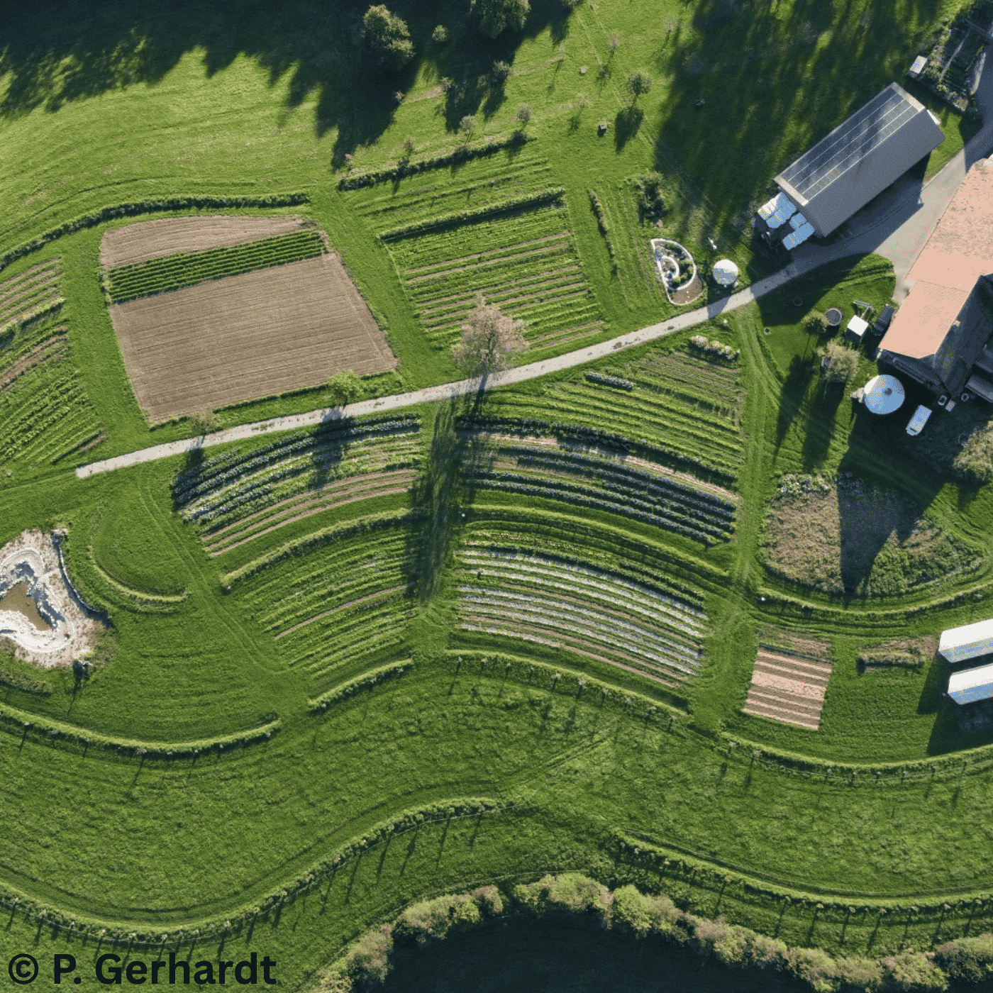 Landwirtschaft neu denken: Agroforst & Keyline-Design | Philipp Gerhardt #196