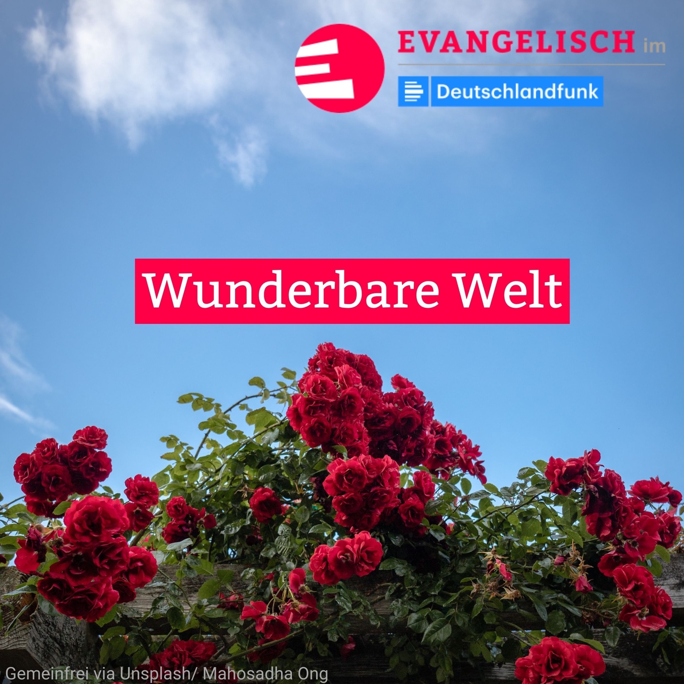 Wunderbare Welt
