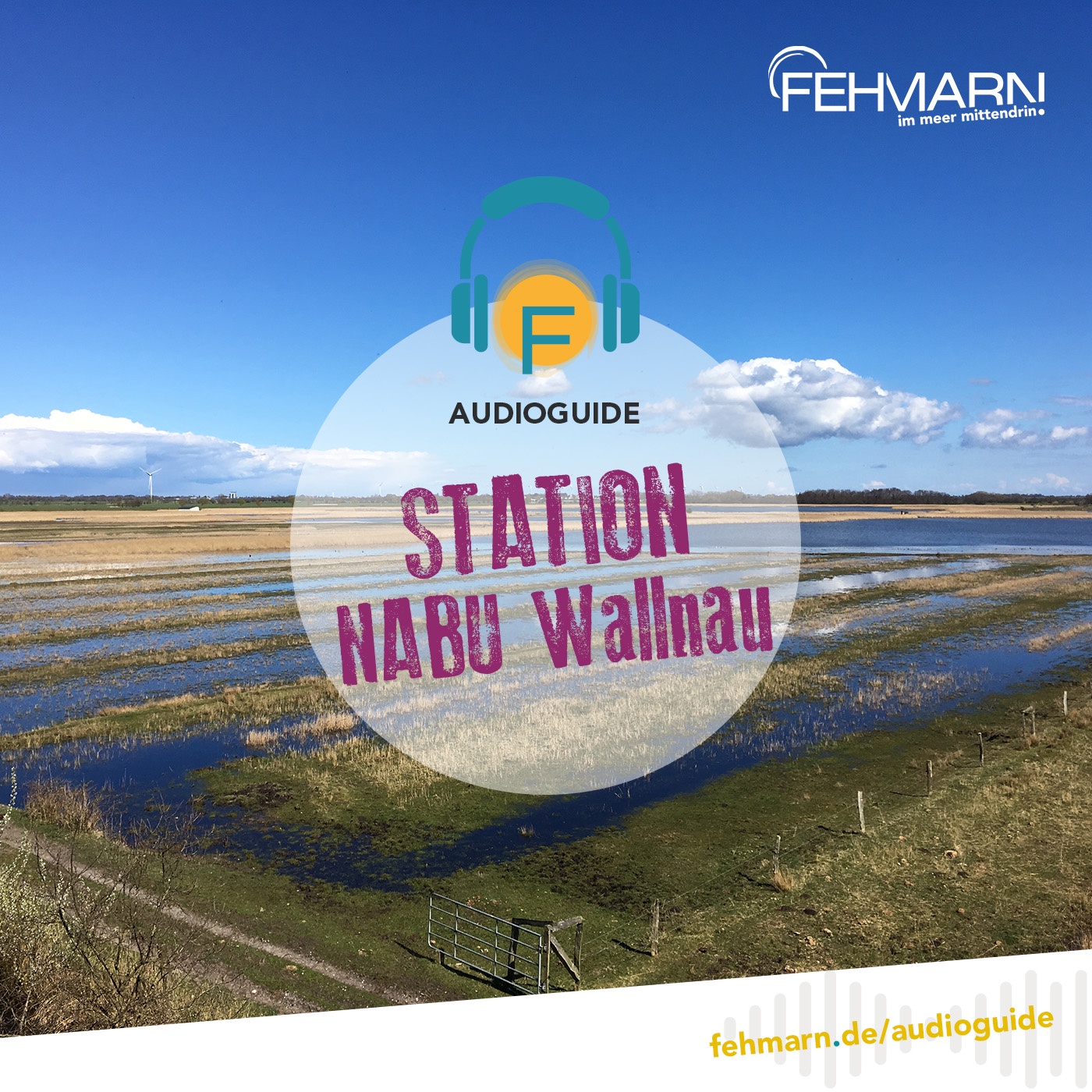 NABU Wasservogelreservat Wallnau - Audioguide Fehmarn