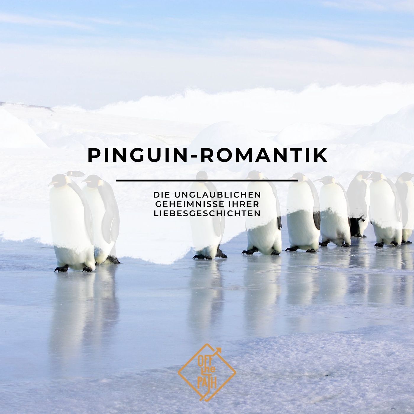 Pinguin-Romantik