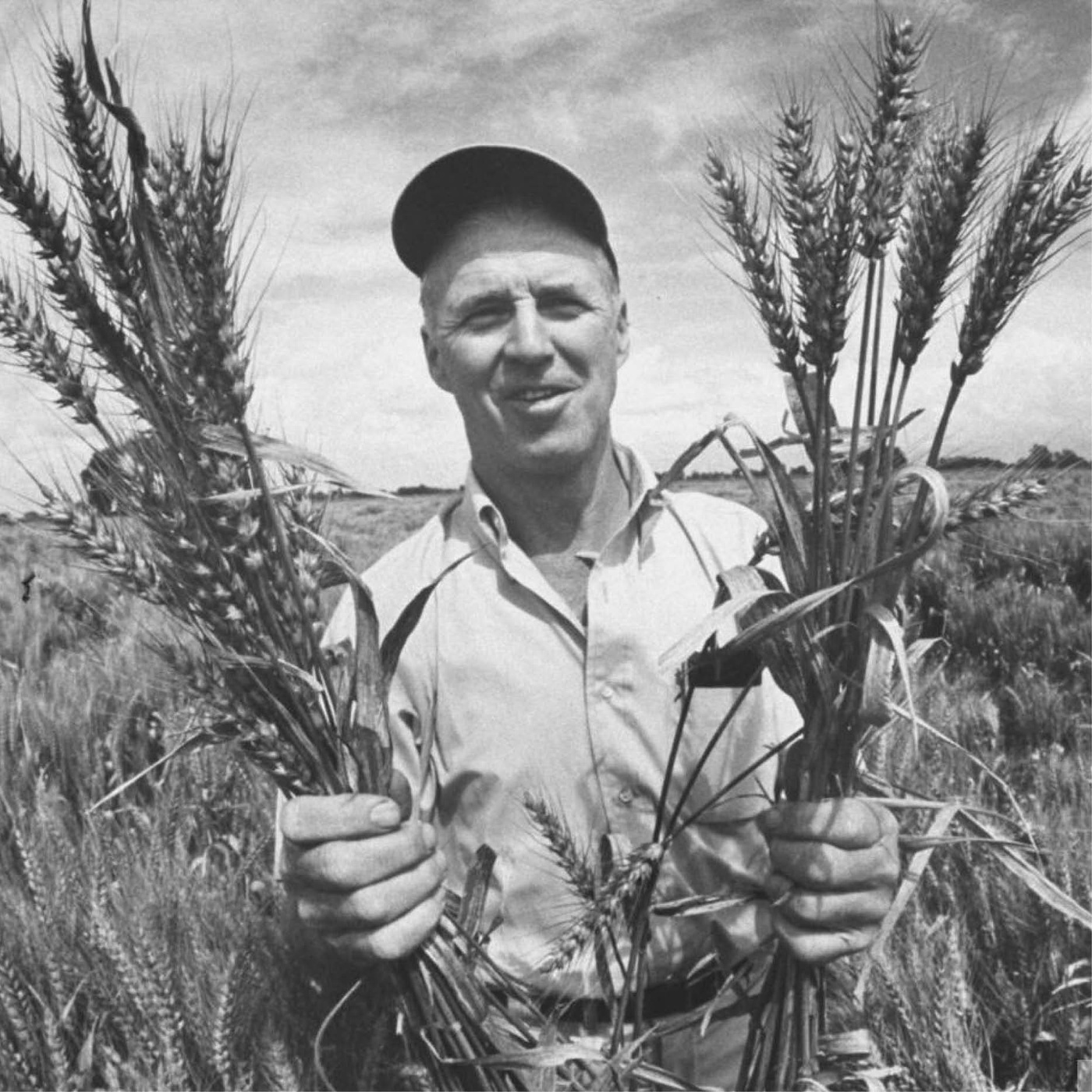 107_The Green Revolution