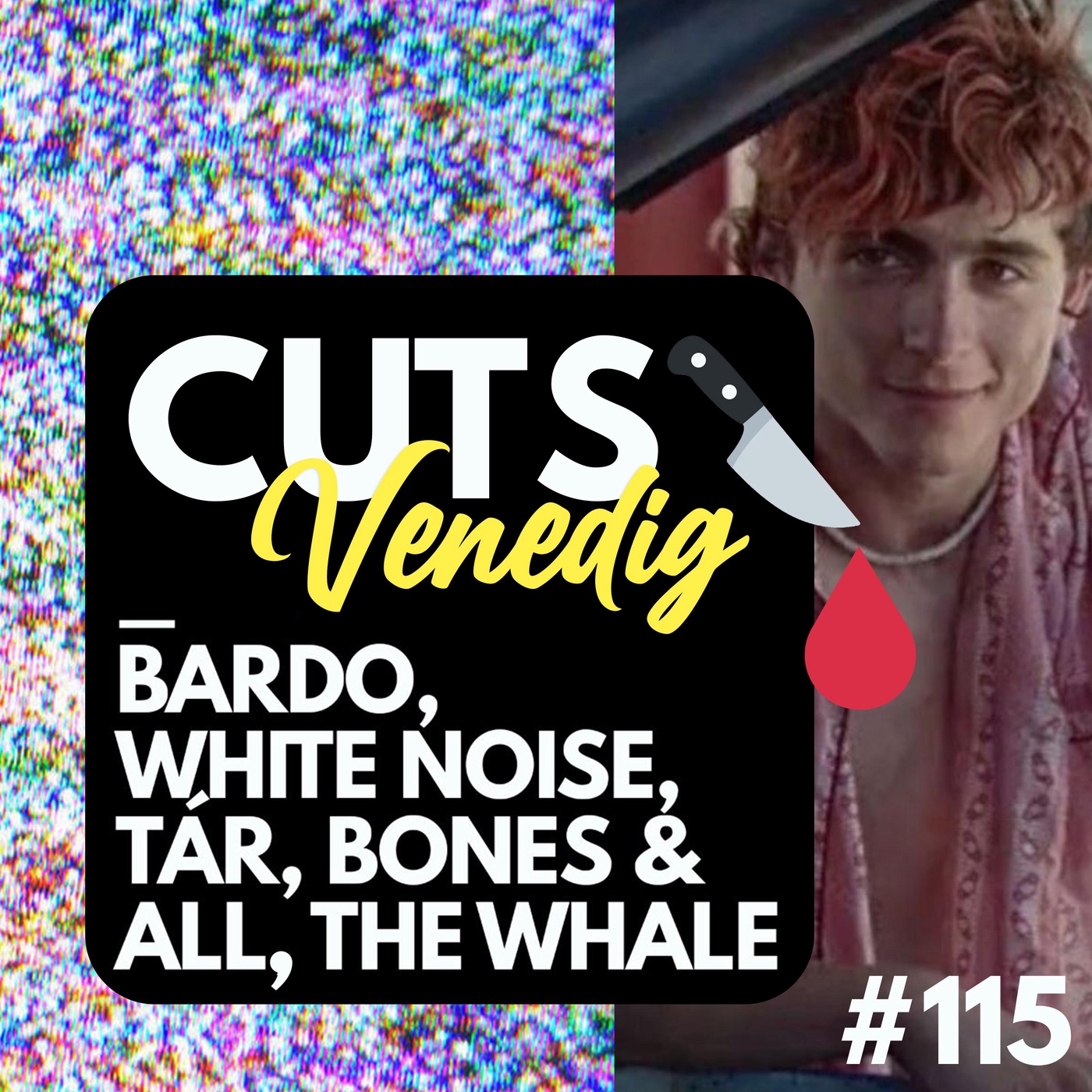 #115 - Venedig: Bardo, White Noise, Tár, Bones and all, The Whale, The Banshees of Inisherin