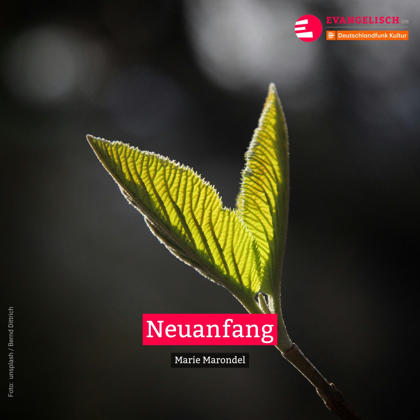 Neuanfang
