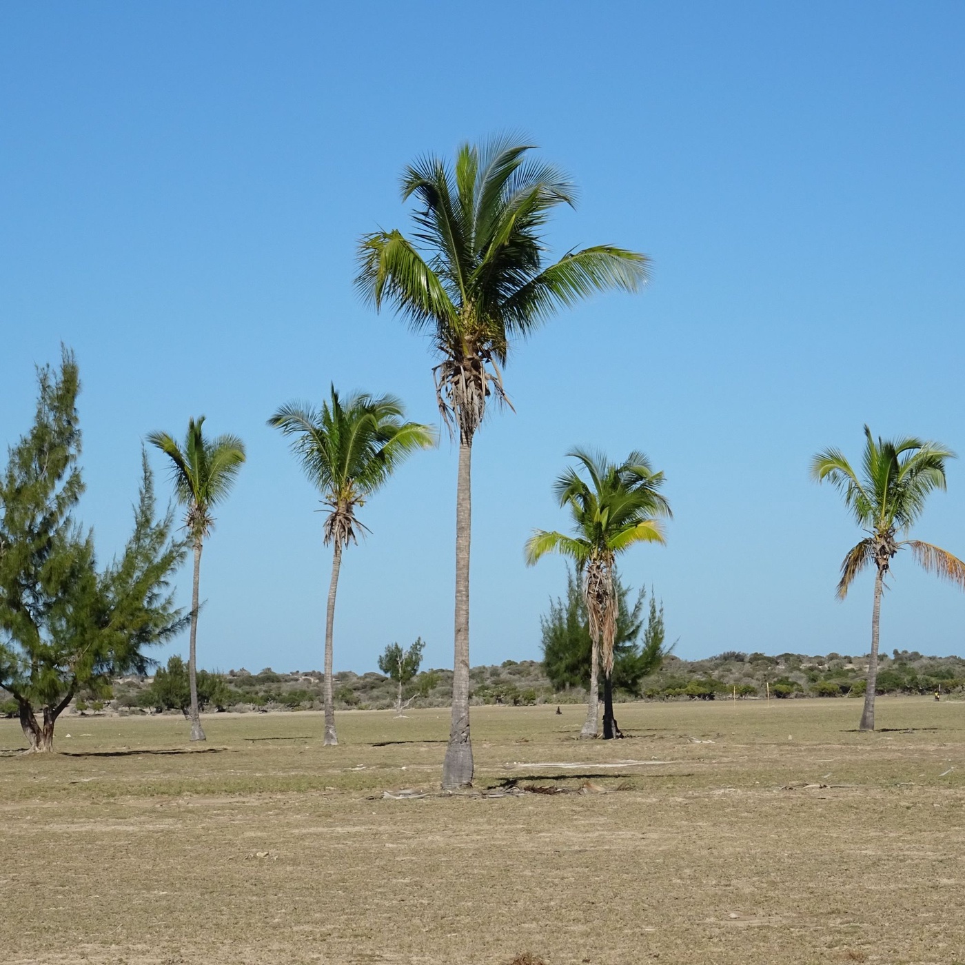 Madagaskar: der Süden