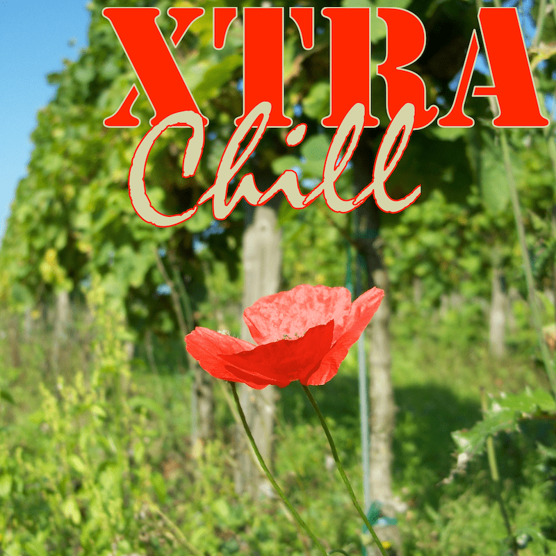 XtraChill 285