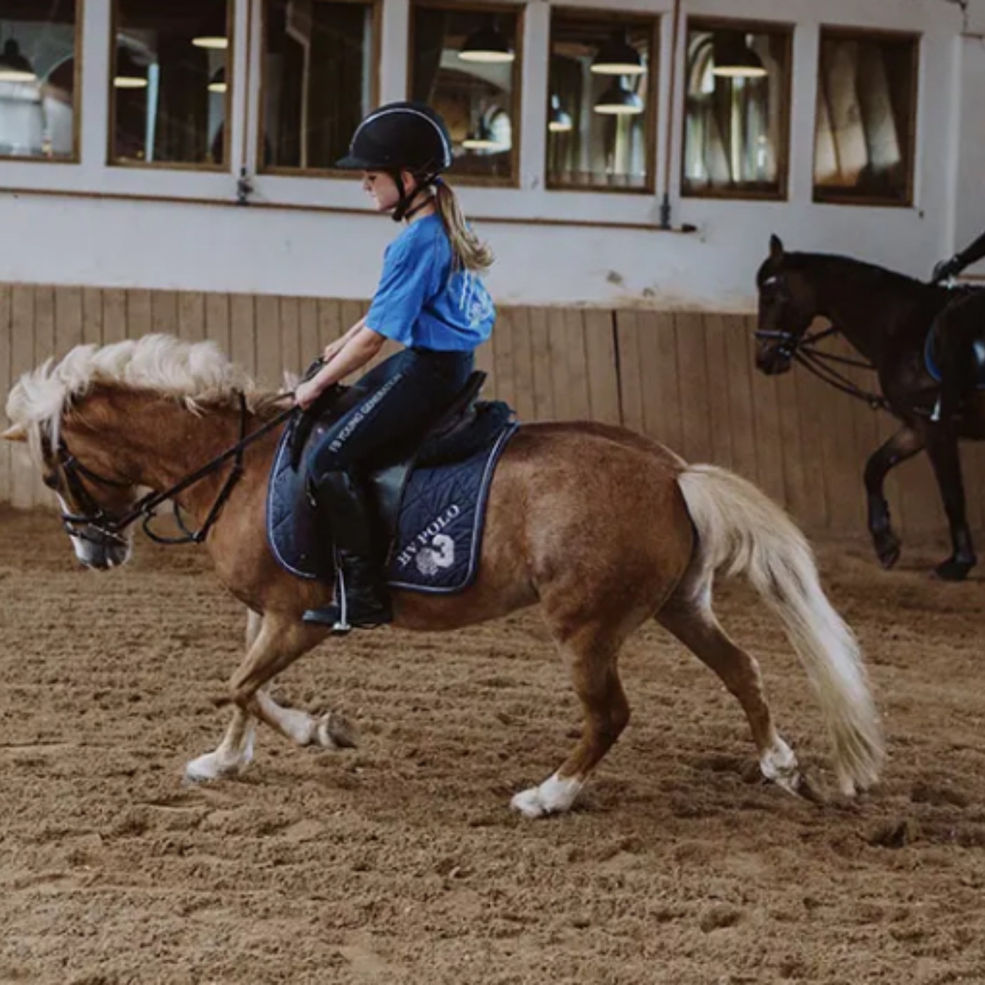 Pferdeglück, Familienbande & fränkische Gaumenfreuden