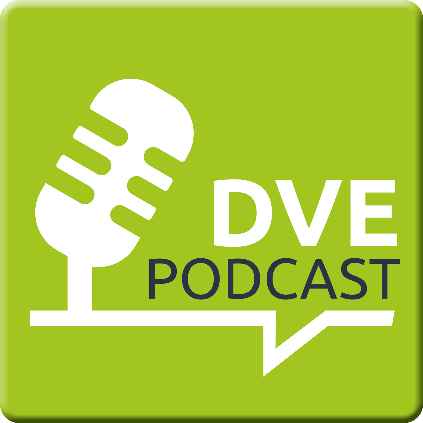 Die UN-BRK und der Aktionsplan 2.0 des DVE