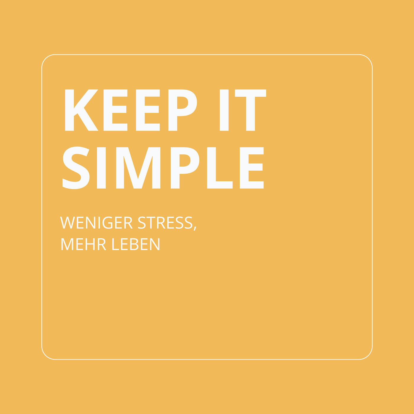 Die besten Küchenutensilien für Mealprep MustHaves & überflüssige