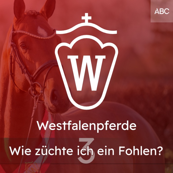 Wie züchte ich ein Fohlen?