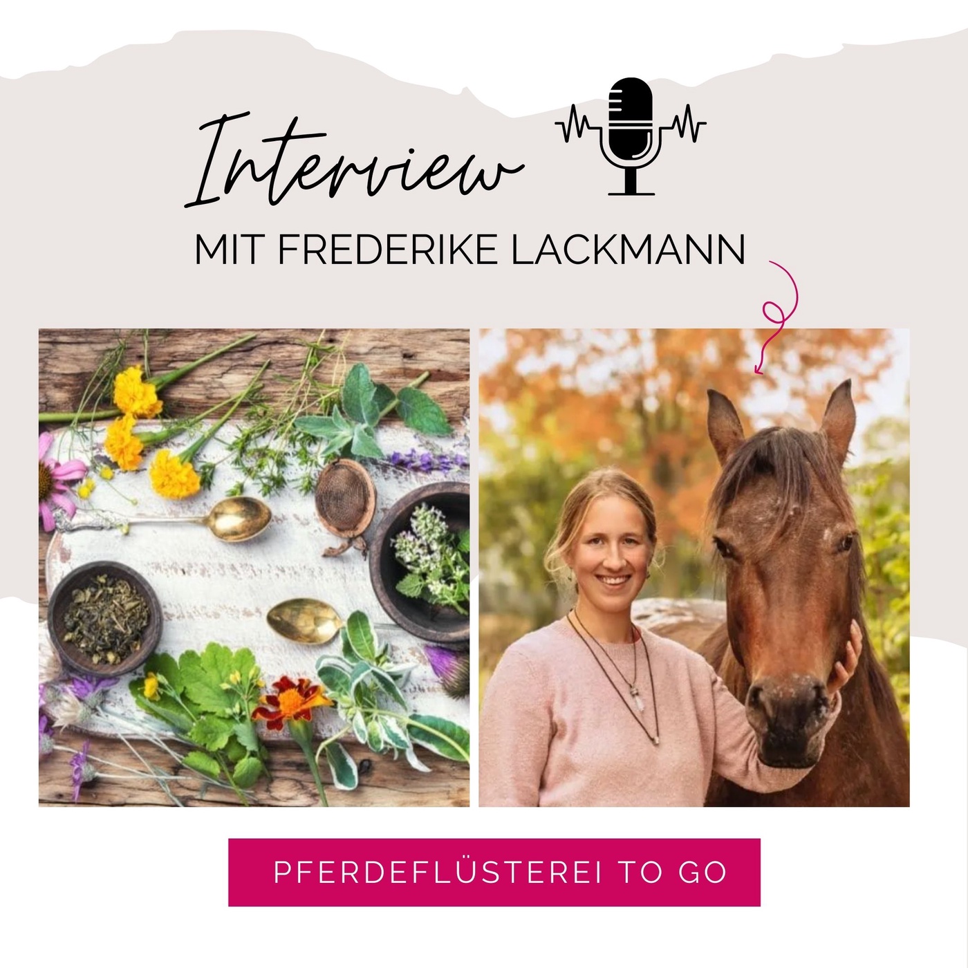 Magie der Pflanzen und wie sie das Pferd unterstützen können