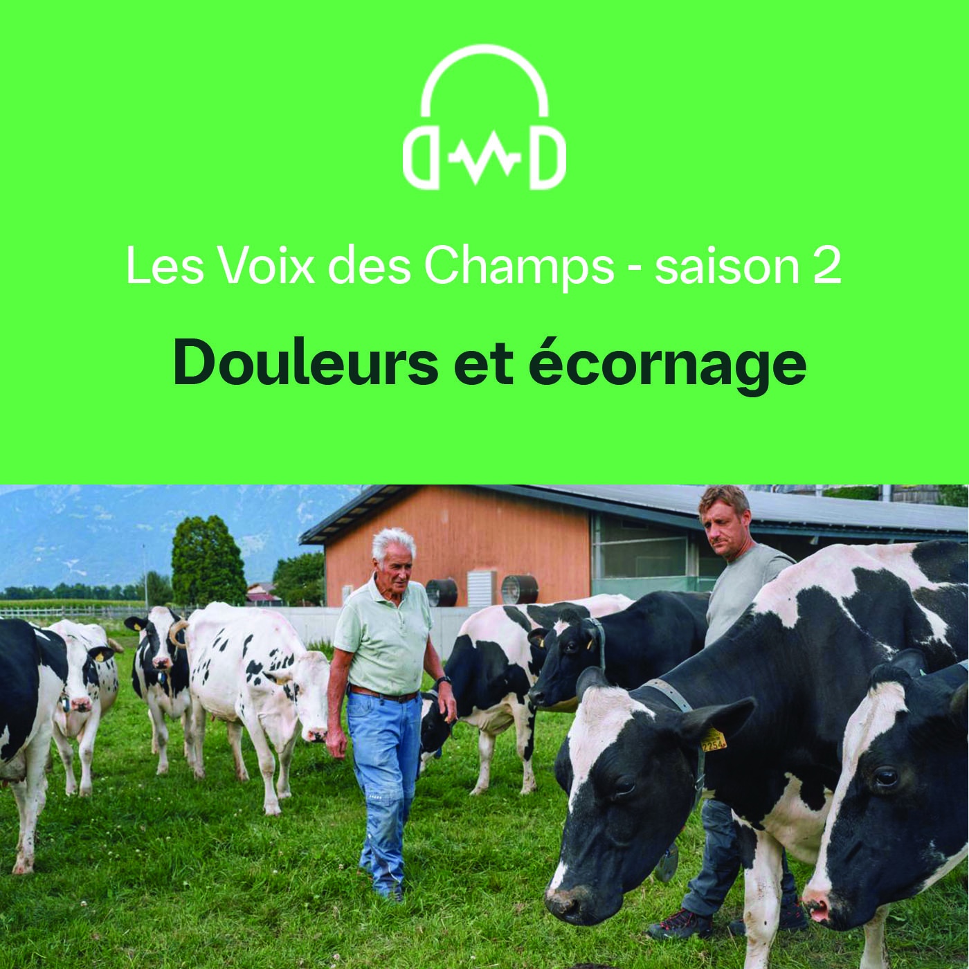 LesVoix DesChamps - S02 - E09 : Douleur et écornage