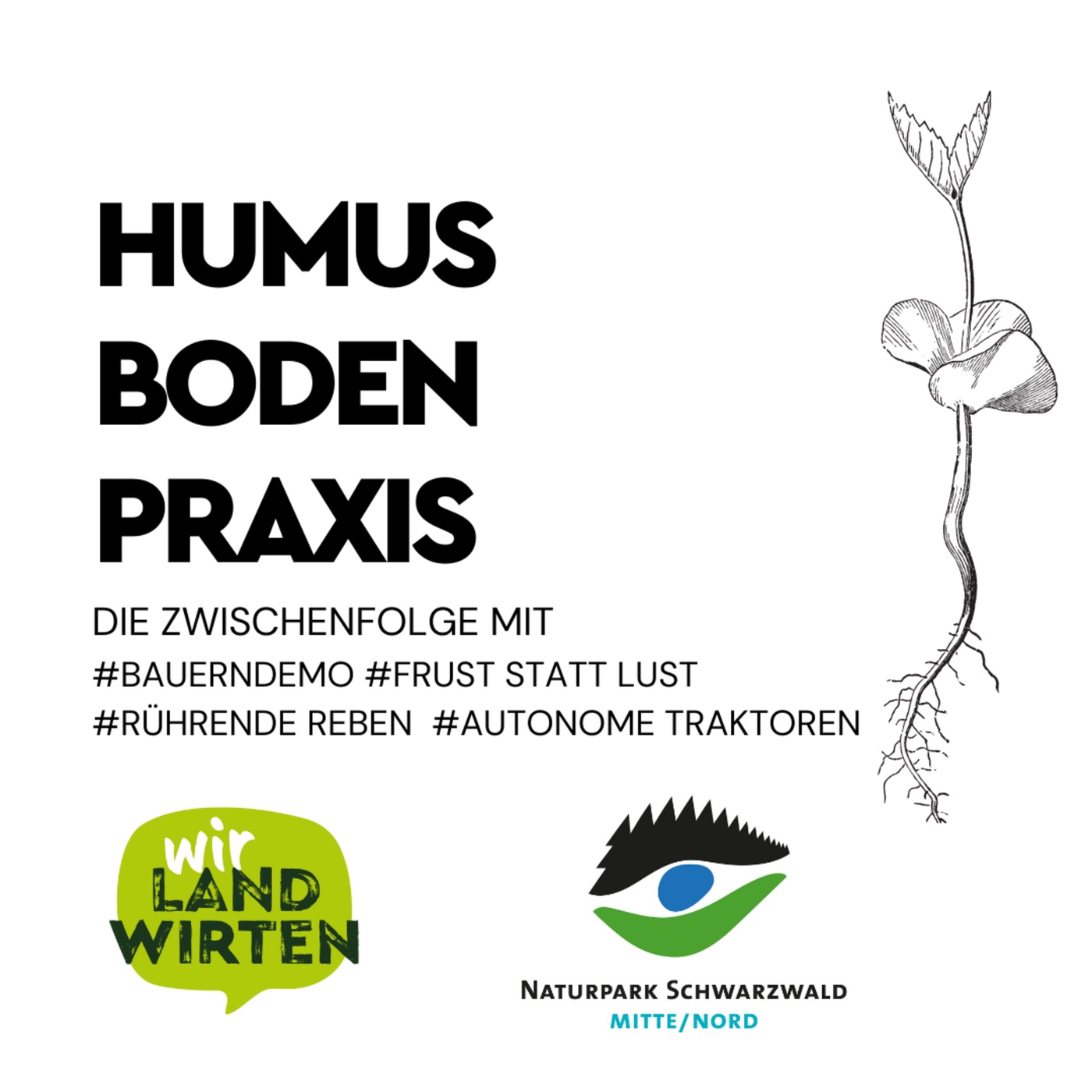 Humus Boden Praxis Zwischenfolge 