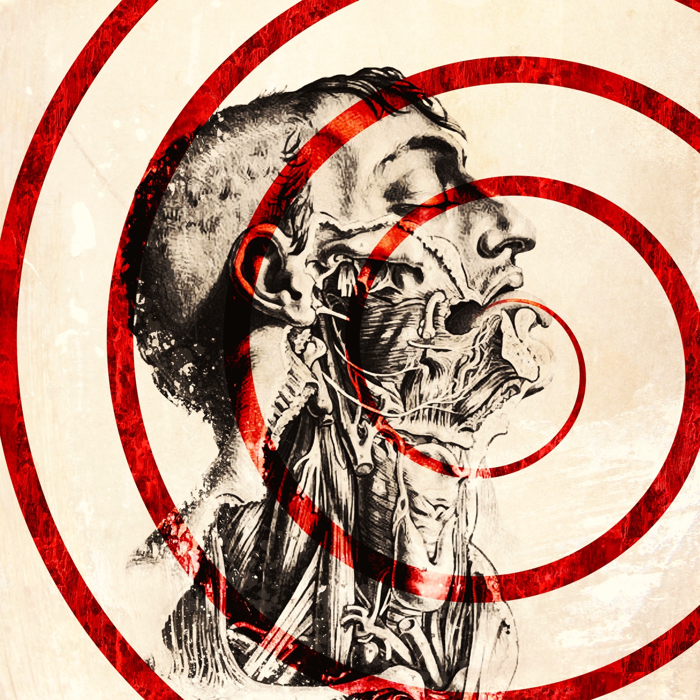 DRR-SHOW – 18-2019