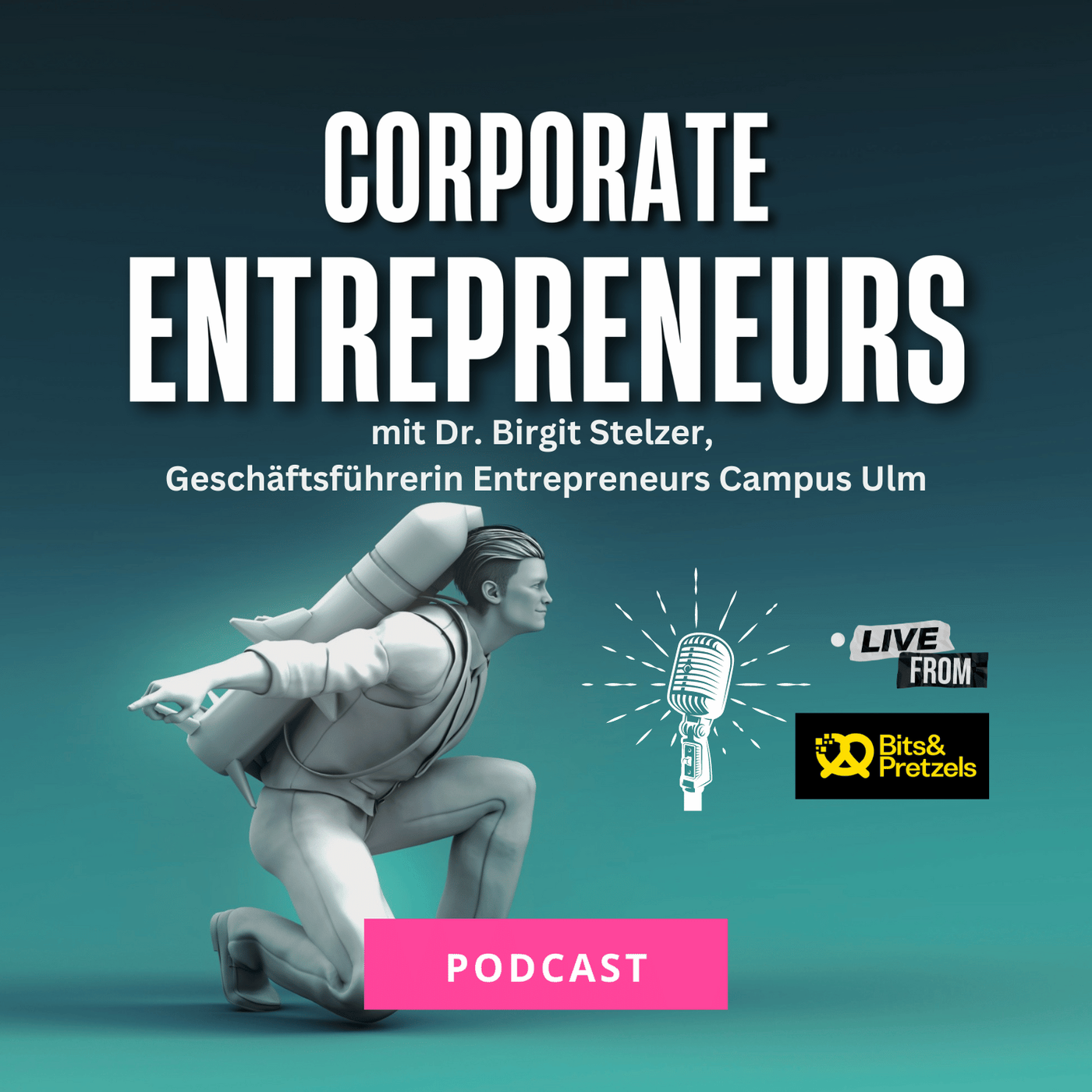 038 Interview mit Dr. Birgit Stelzer,  Geschäftsführerin Entrepreneurs Campus Ulm