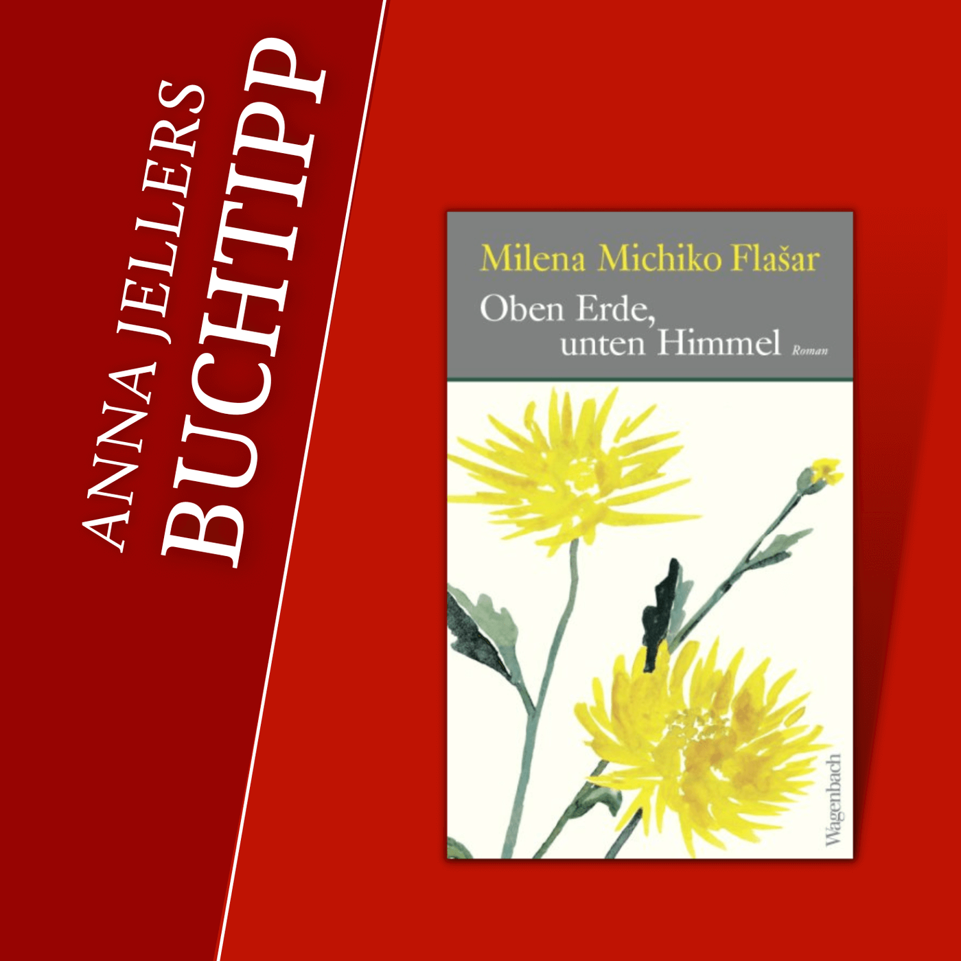 Anna Jellers Buchtipp | Milena Michiko Flašar: Oben Erde, unten Himmel