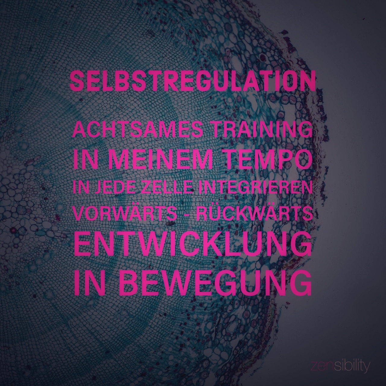 Achtsame Regulation innerer Anteile