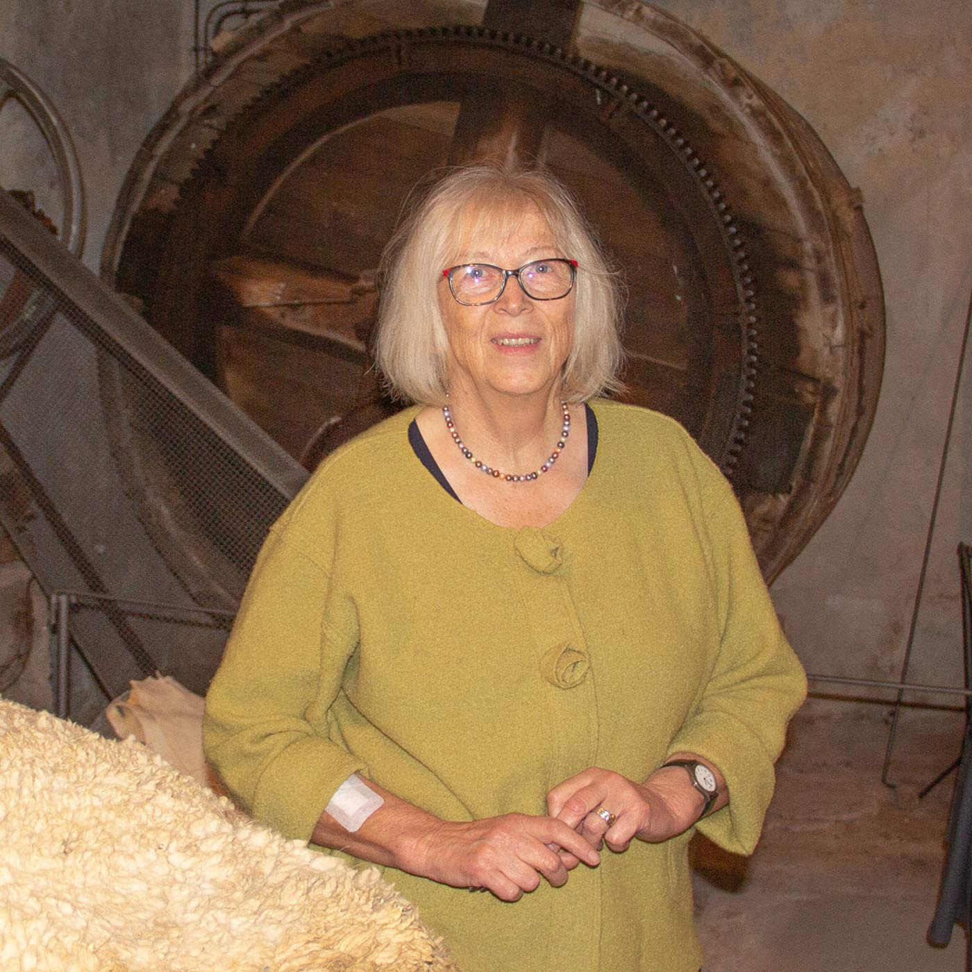 Irmhild Mannsfeld - Kampf ums Gerbereimuseum