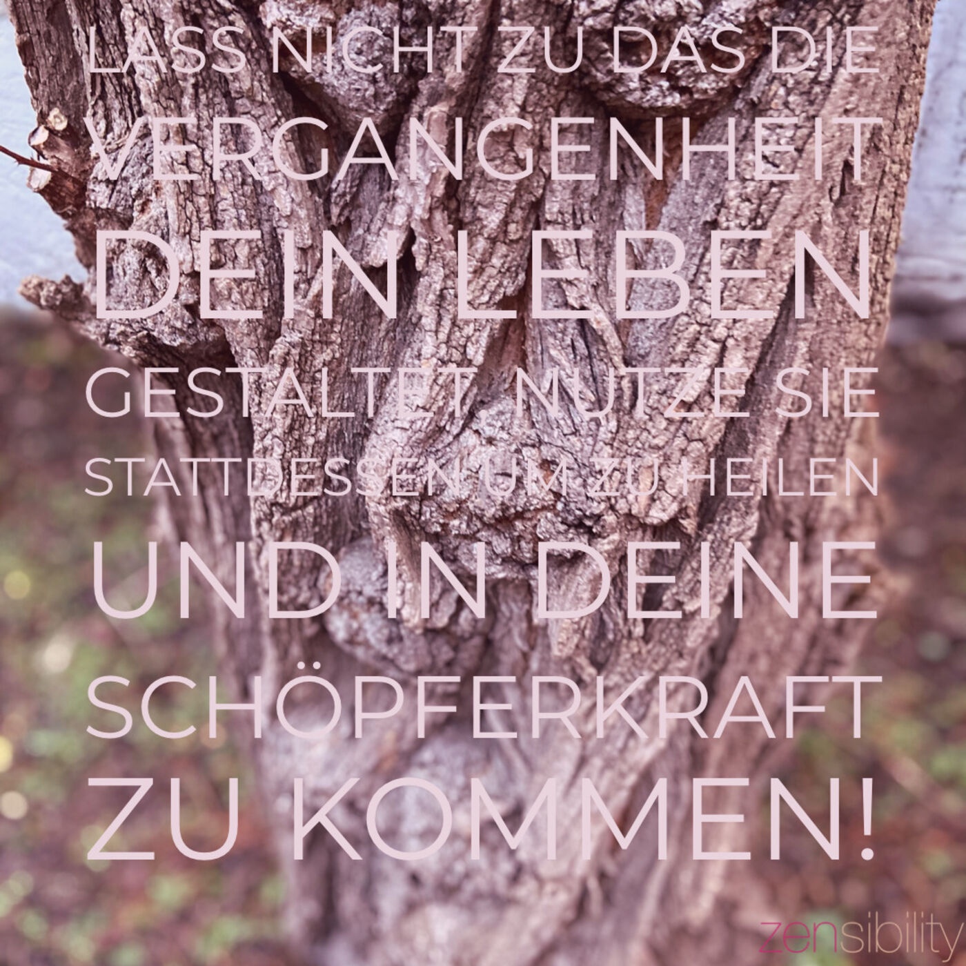 Von transgenerationalen Wunden...