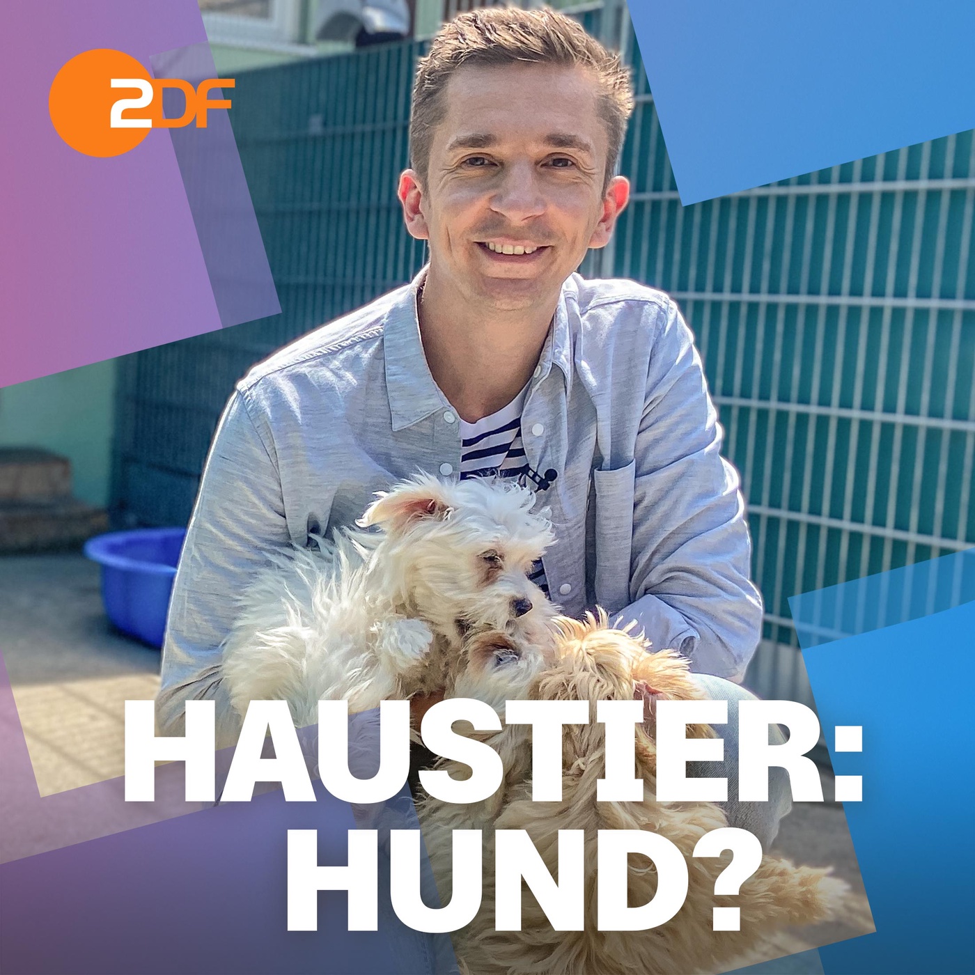 Haustier: Hund? Darum solltest du es dir WIRKLICH gut überlegen