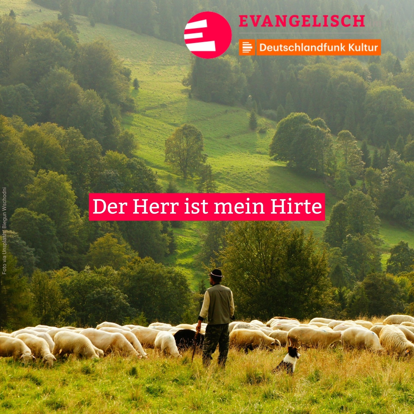 Der Herr ist mein Hirte