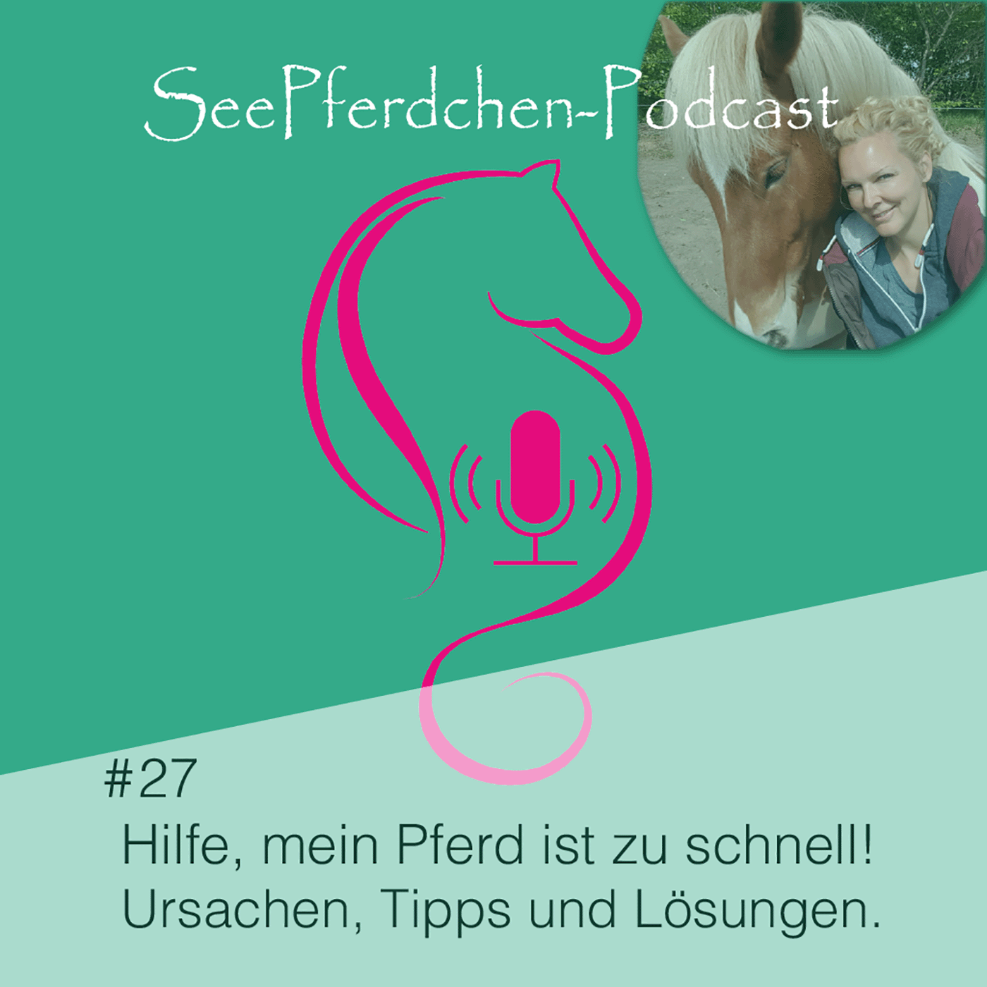 27 │#Hilfe, mein Pferd ist zu schnell