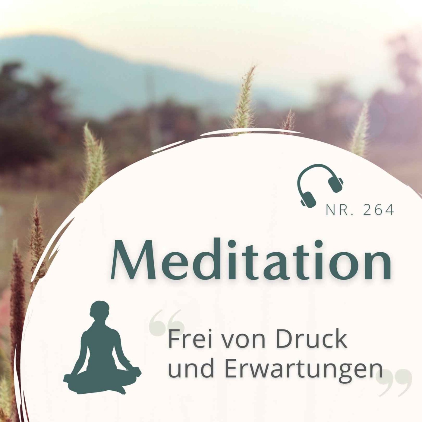 Meditation Nr. 264 // Frei von Druck und Erwartungen