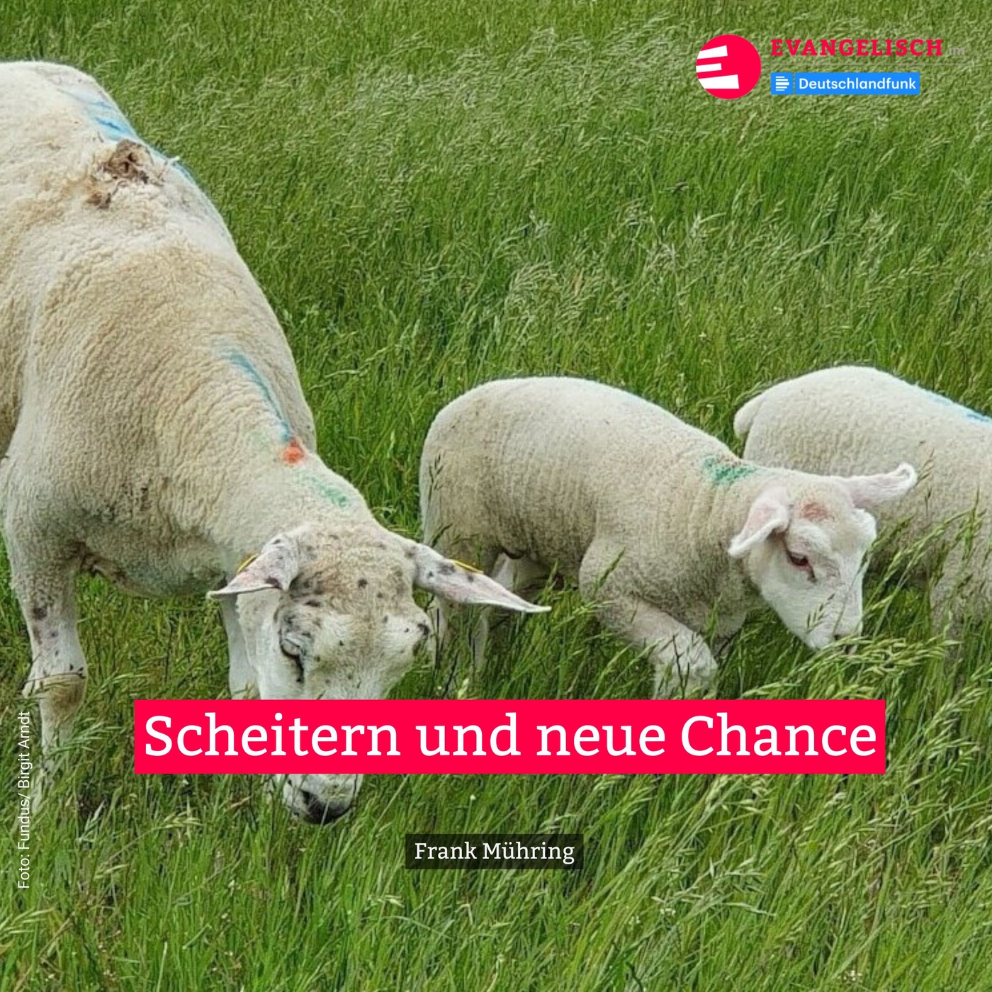 Scheitern und neue Chance
