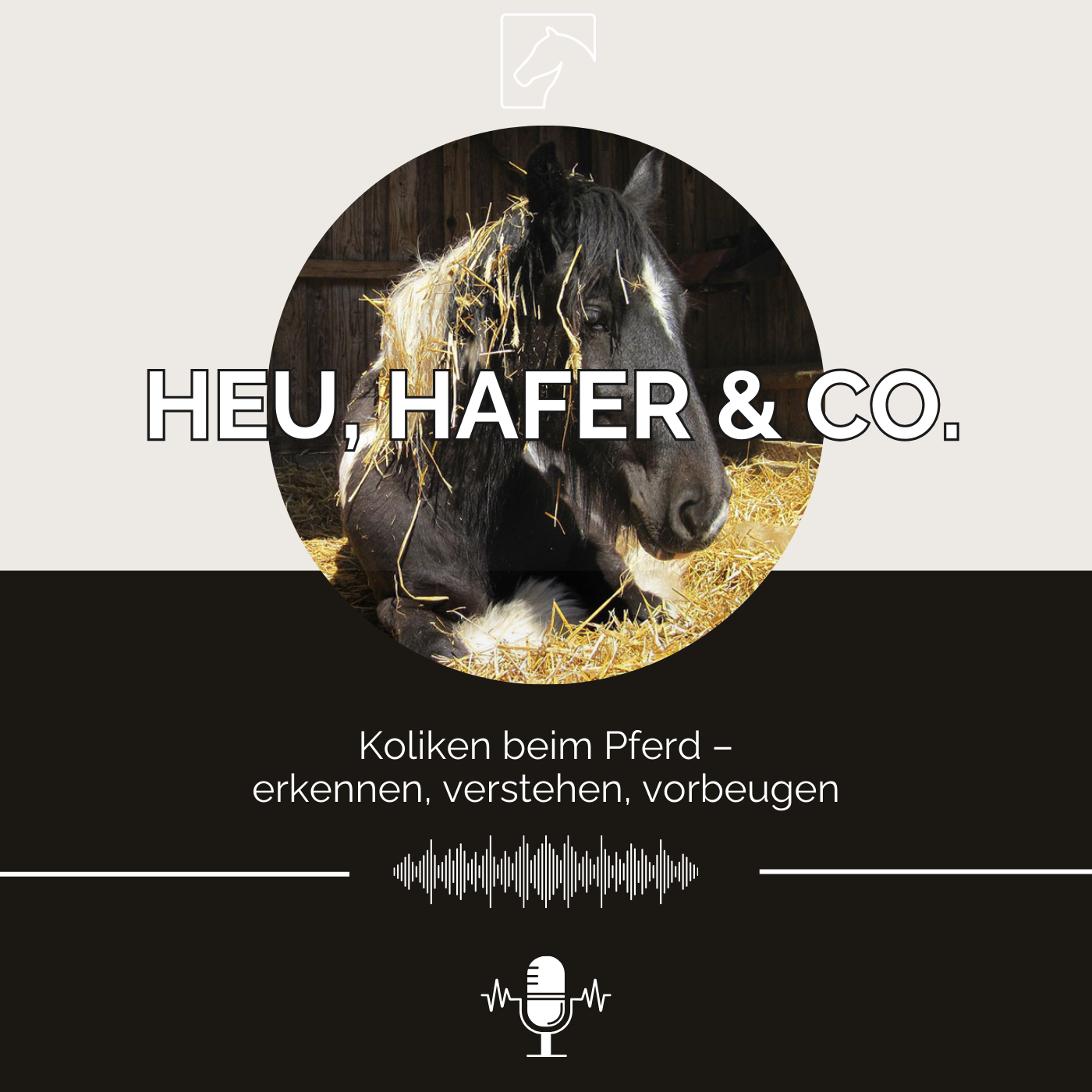 Episode 34 - Koliken beim Pferd: erkennen, verstehen, vorbeugen