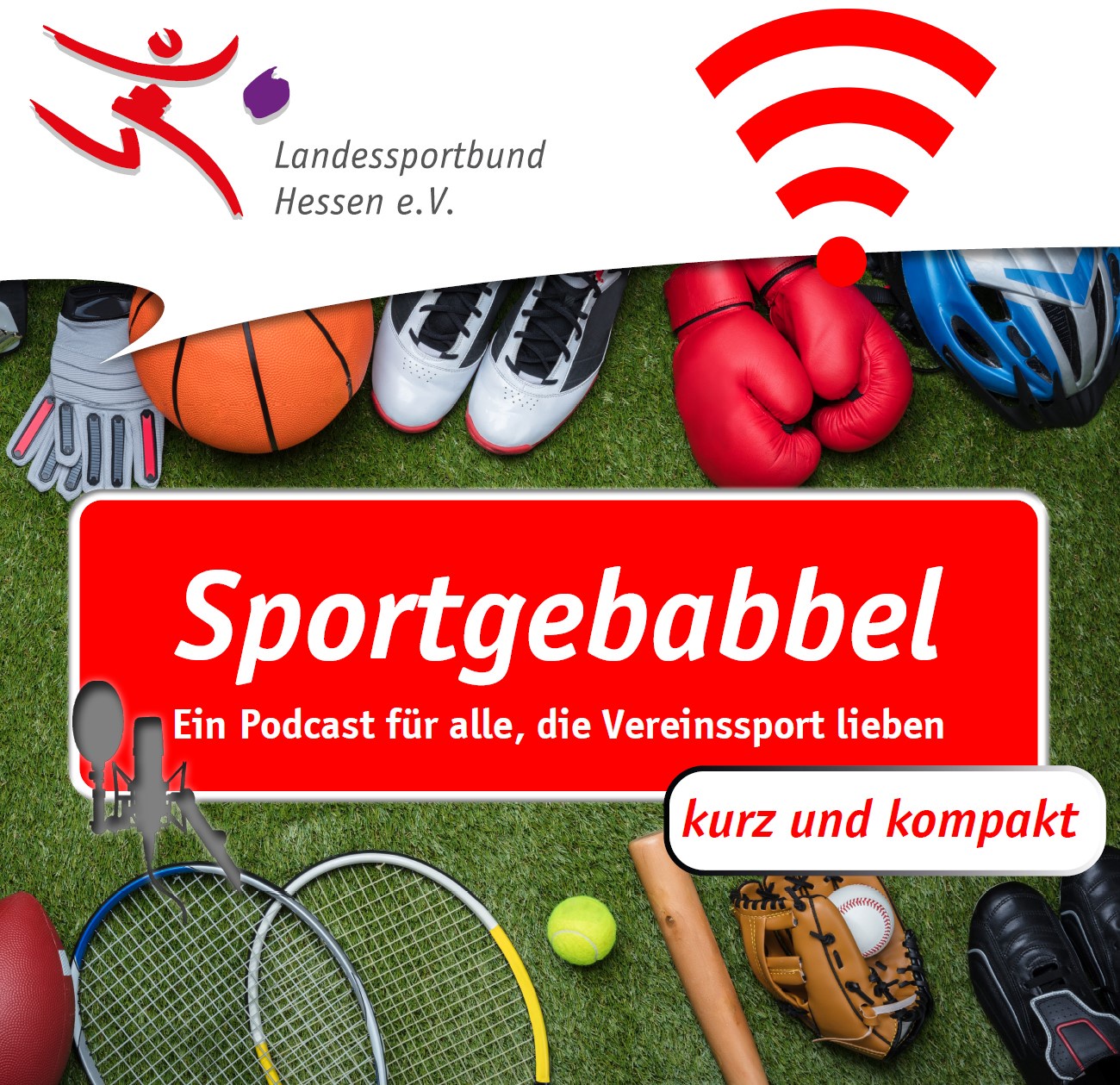 Folge 16 / Trikottag (kurz und kompakt)
