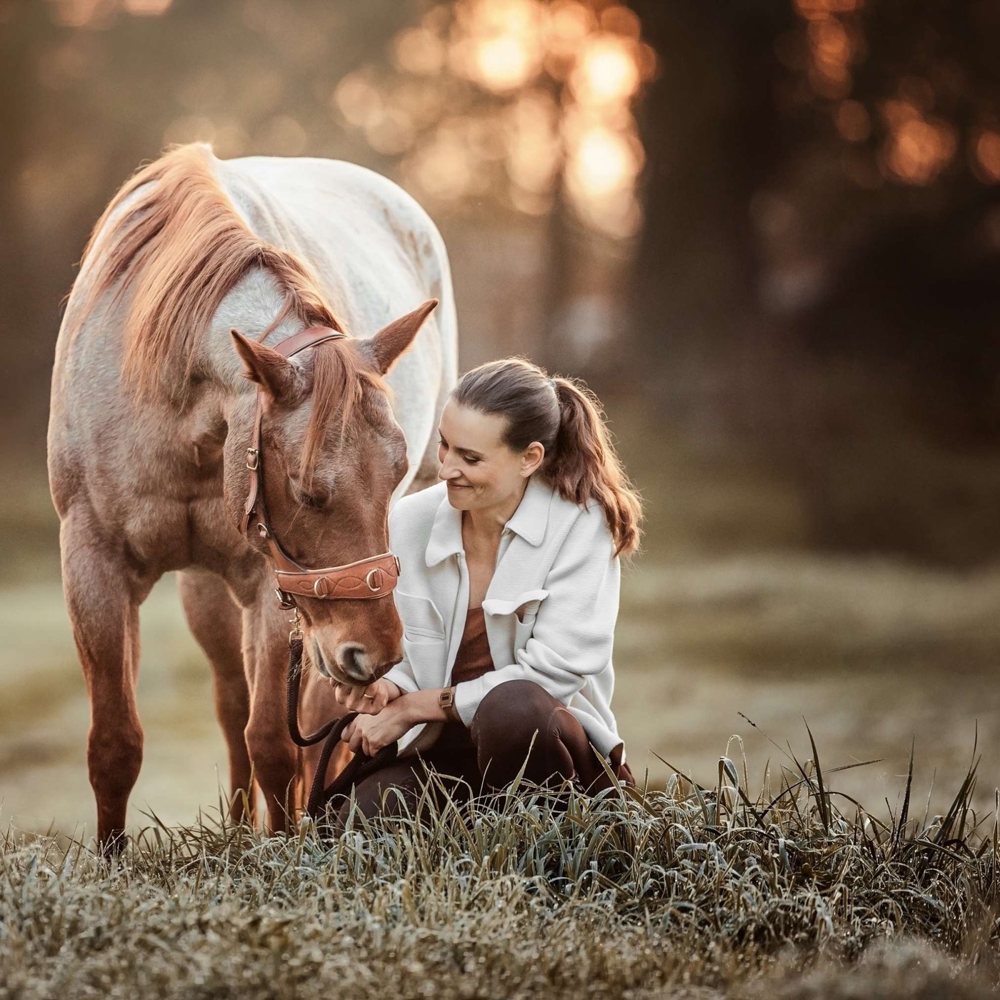 Wie du mehr Liebe von deinem Pferd bekommst