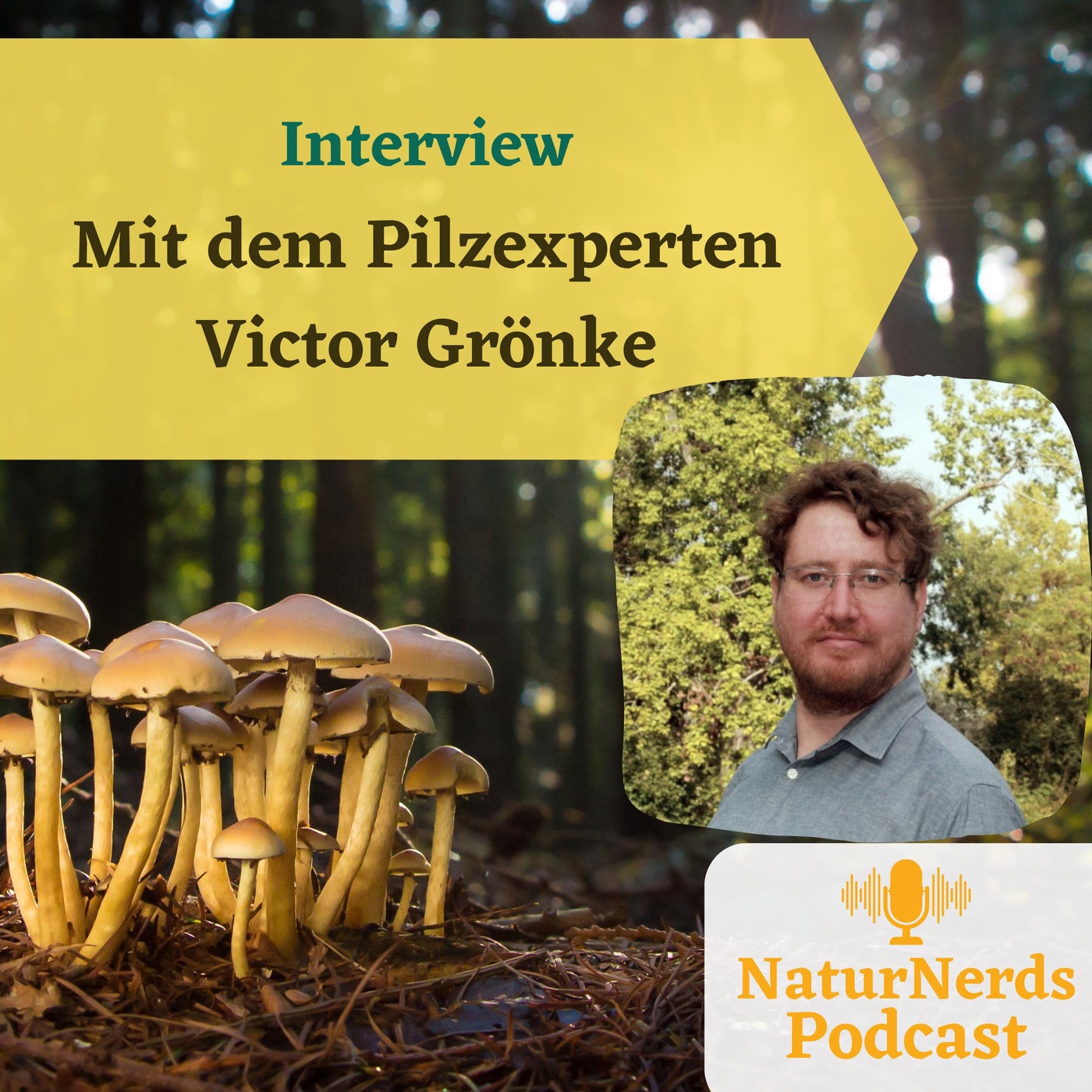 Spaziergang und Interview mit dem Pilzexperten Victor Grönke