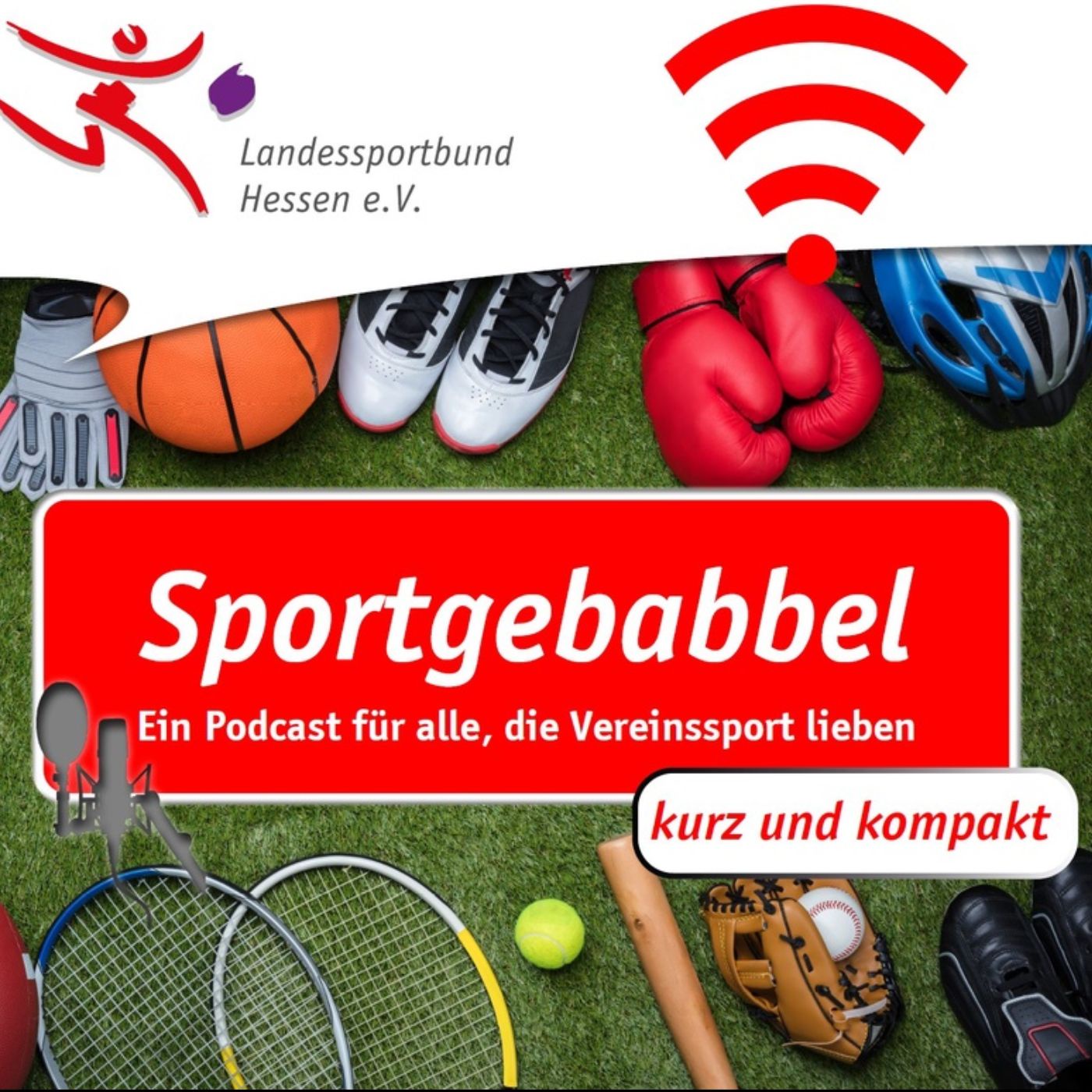 Folge 23 / Trikottag (kurz und kompakt)
