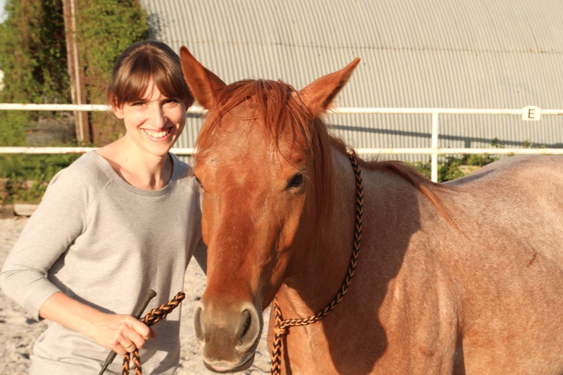 Eine wichtige Lektion deines Pferdes für dich