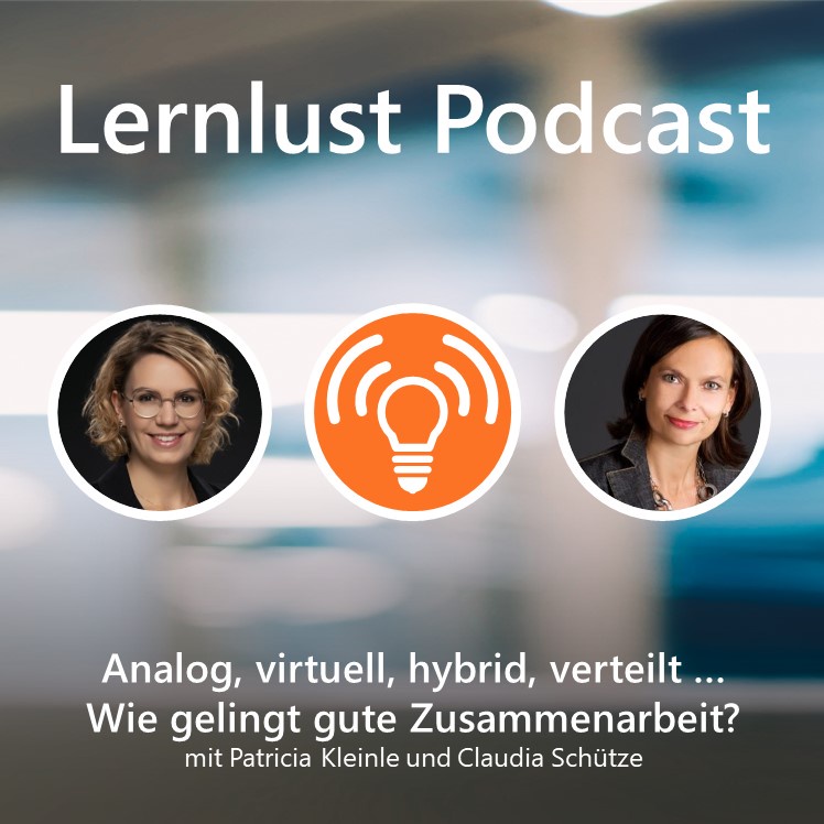 LERNLUST #11 / Analog, virtuell, hybrid, verteilt ... Wie gelingt gute Zusammenarbeit?