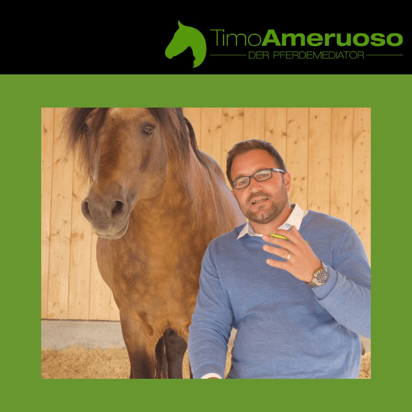 Pferdemediator – Potenzialentfaltung von Pferd und Mensch