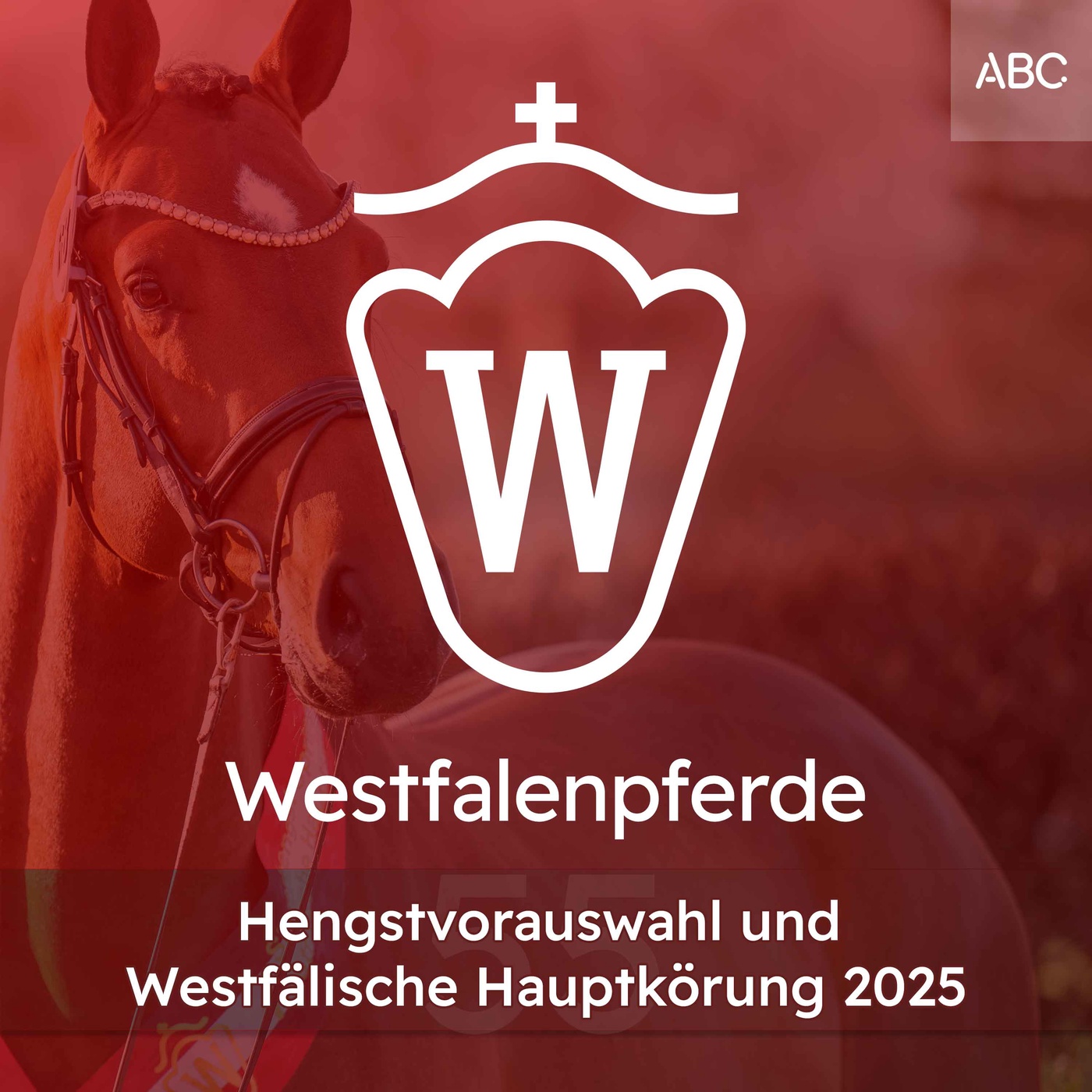 Rückblick Hengstvorauswahl - Vorschau Hengstkörung 2025
