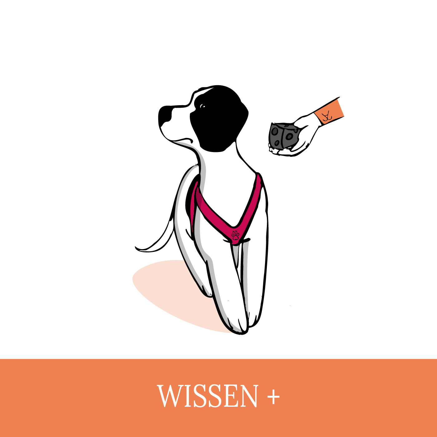 #02 Wissen+ Wenn der Kundenhund kein Futter nimmt