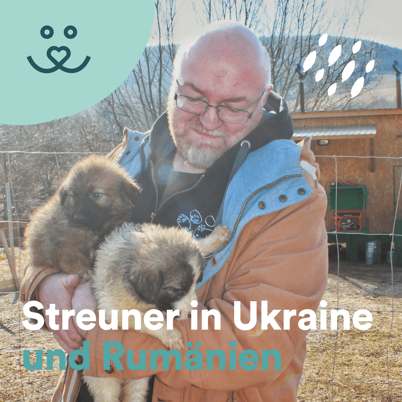 Update No. 80: „Streuner Seelen“: Tierschutz in Rumänien und Ukraine 🐕🇷🇴🇺🇦