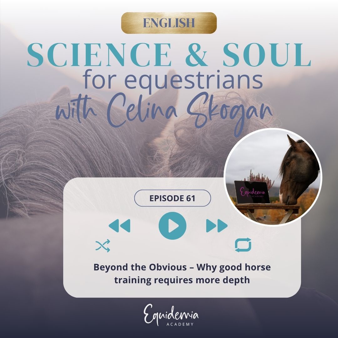 Beyond the Obvious – Why good horse training requires more depth