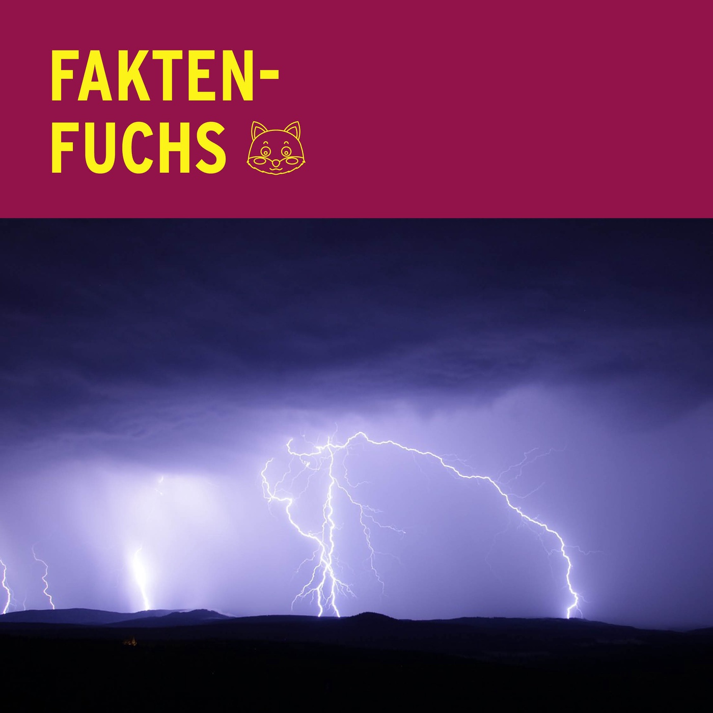 Faktenfuchs: Blitze