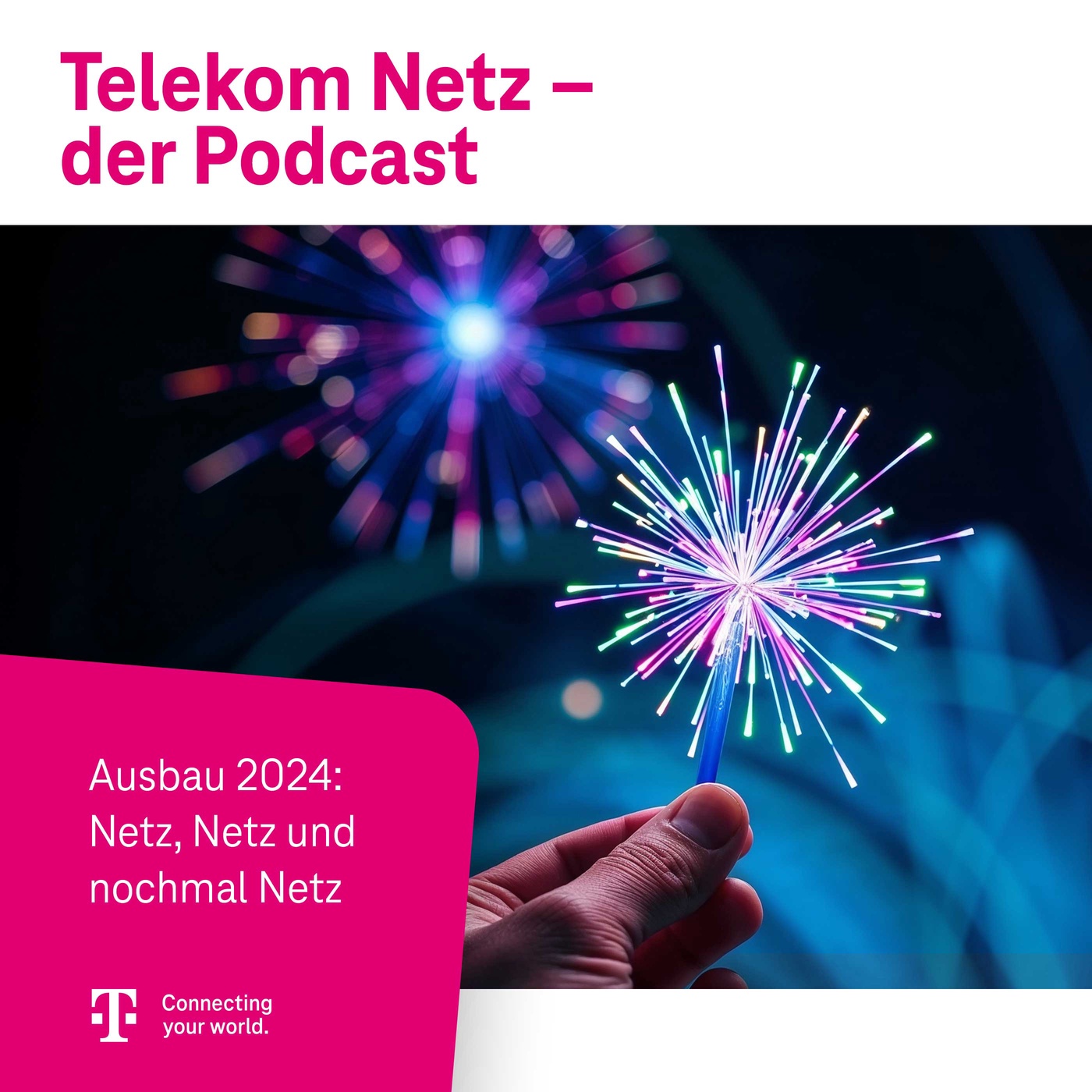 Ausbau 2024: Netz, Netz und nochmal Netz