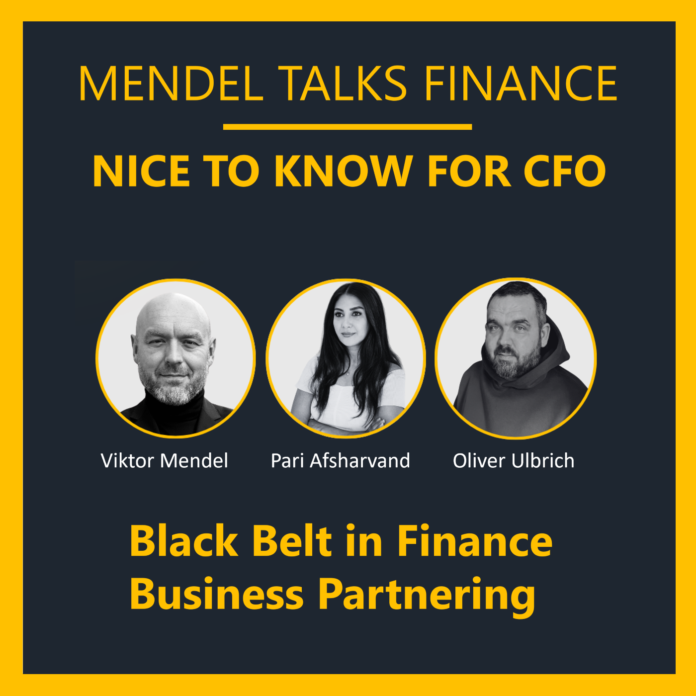 #53 Finance Business Partner auf Black Belt Niveau: Was CFOs wirklich brauchen.