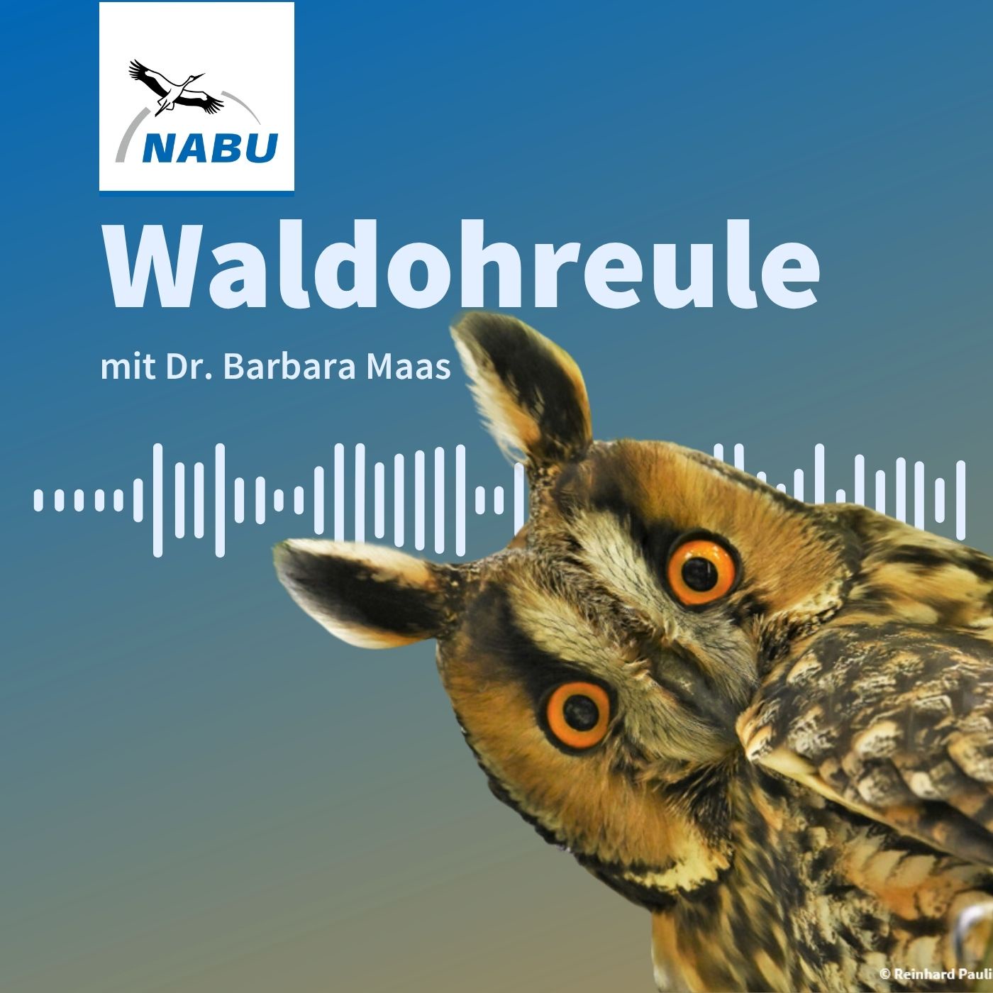 Nashörner im Kaziranga-Nationalpark: In Asam mit Dr. Barbara Maas