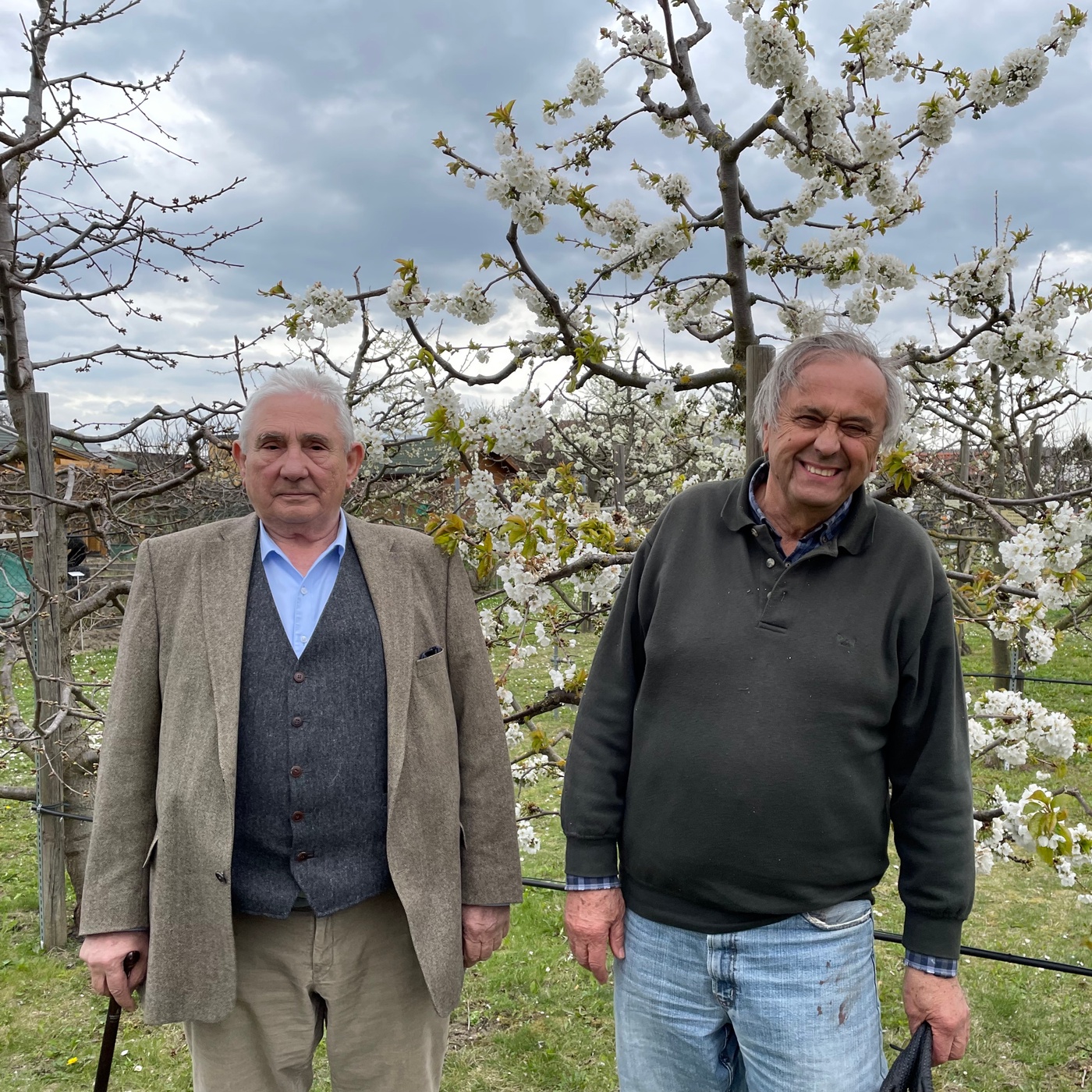 Mein kleiner grüner Garten
