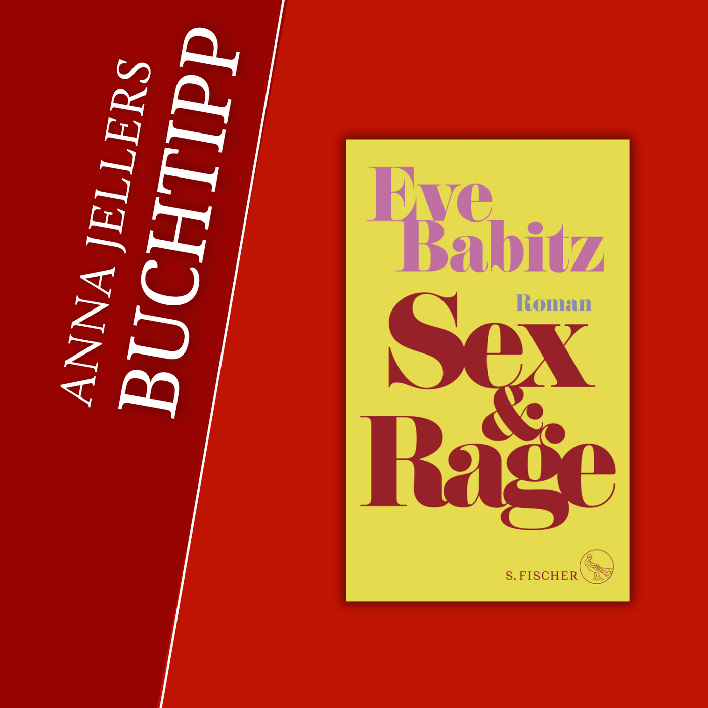 Anna Jellers Buchtipp | Eve Babitz: Sex & Rage