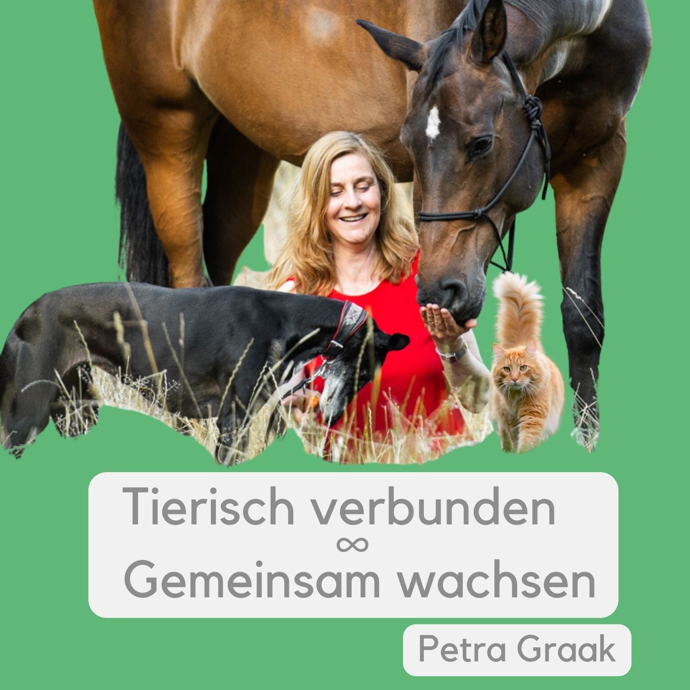 # 23 - Blockaden beim Reiten lösen mit EFT-Klopfakupressur-Coaching – Interview mit Marie Albert