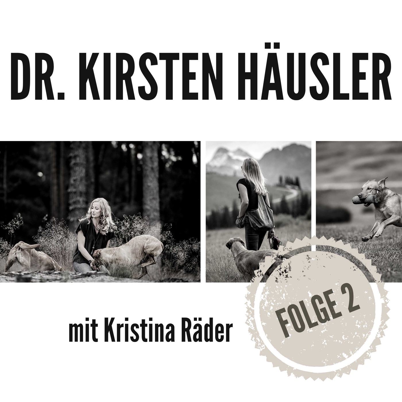 Gangwerkentwicklung - Dr. Kirsten Häusler